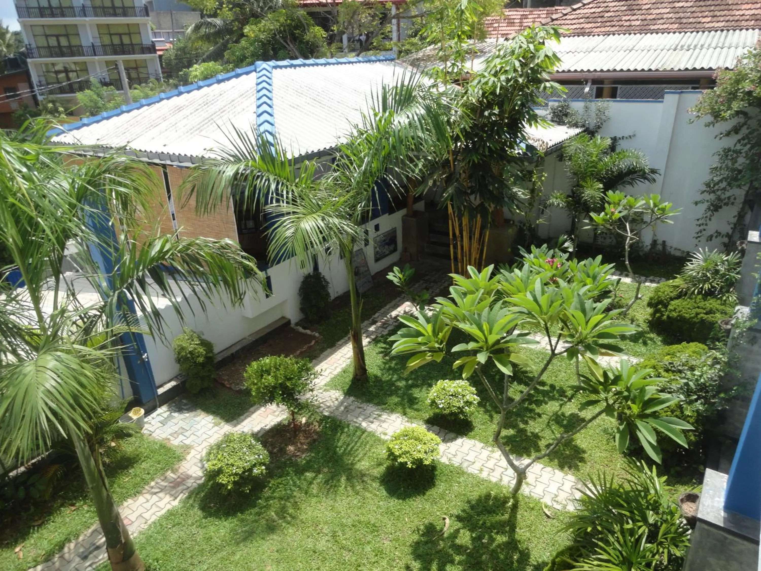 Garden view in Aaradhya Mirissa By Ocean Reach Holidays