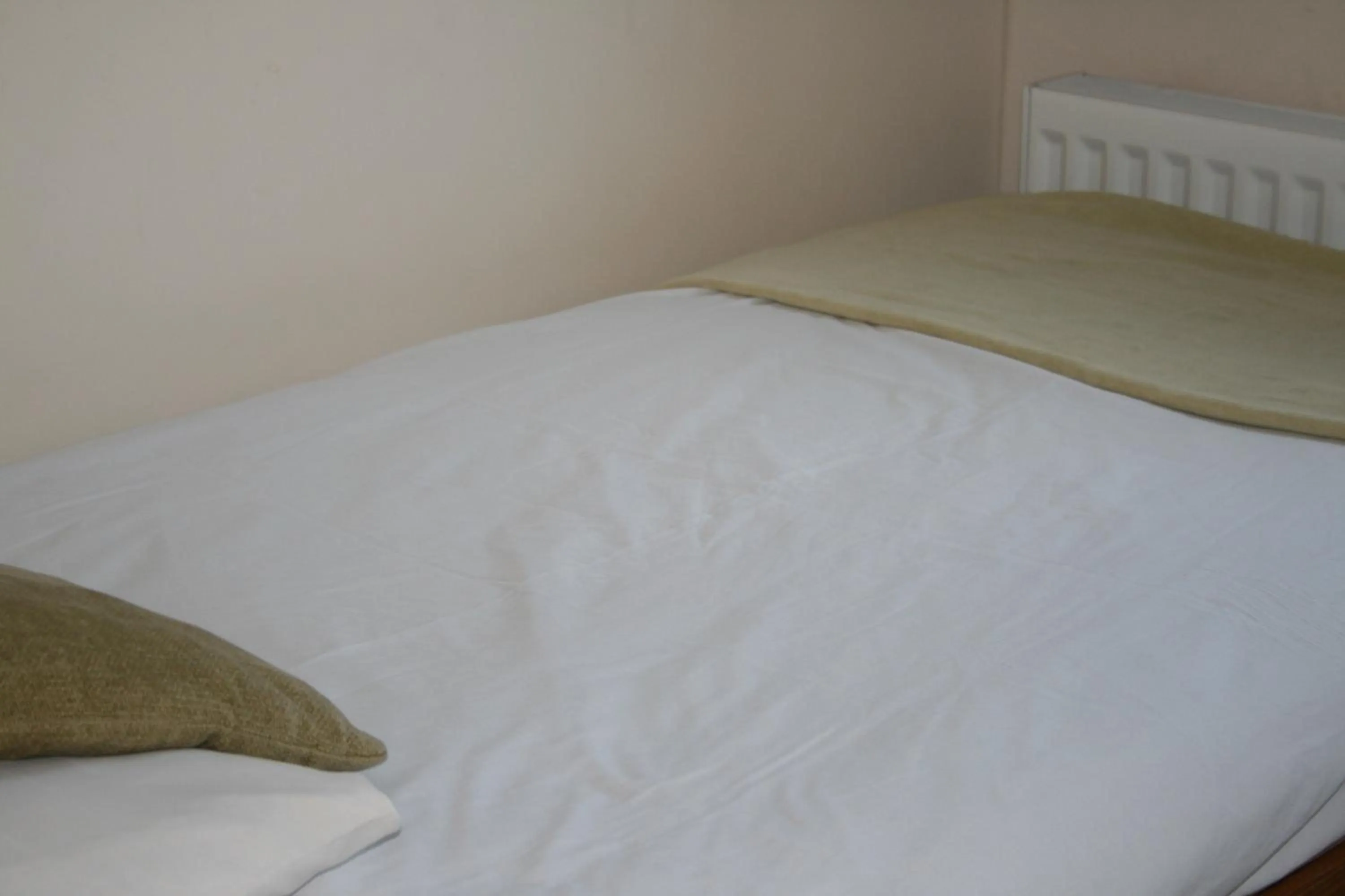 Nearby landmark in BCC Loch Ness Hostel