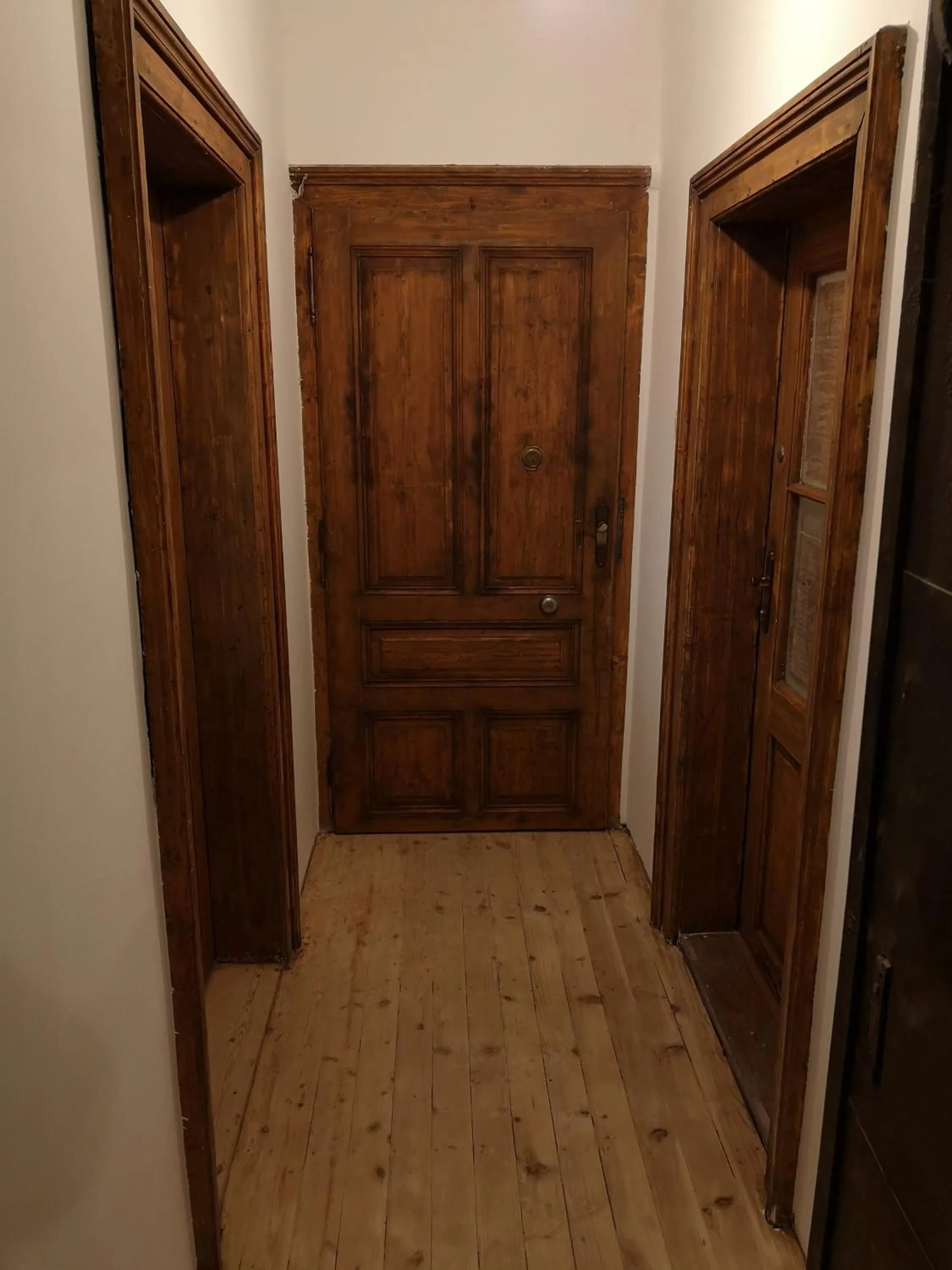 The Villa, Ljubljana city center