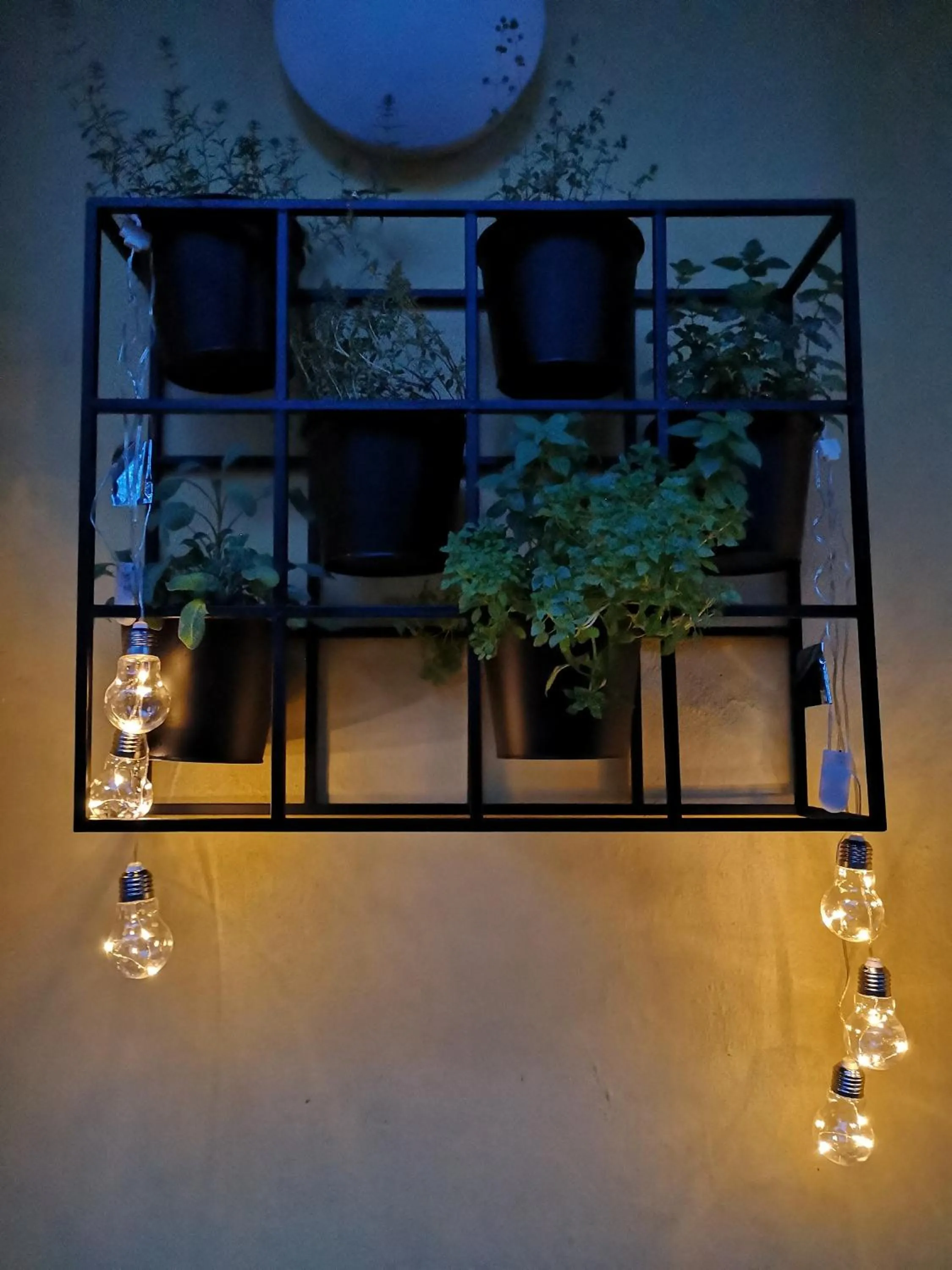 The Villa, Ljubljana city center