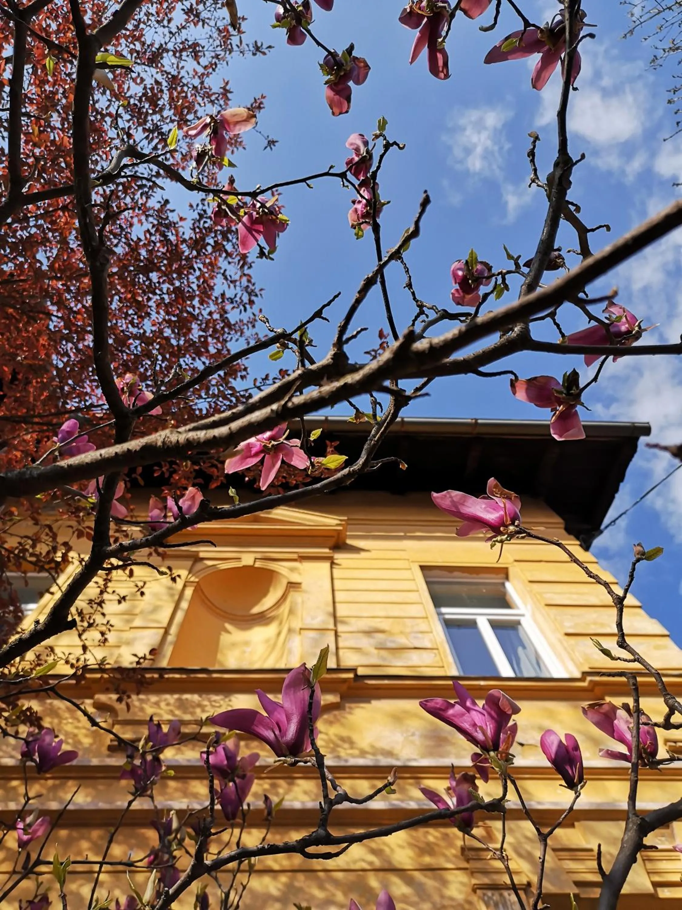 The Villa, Ljubljana city center