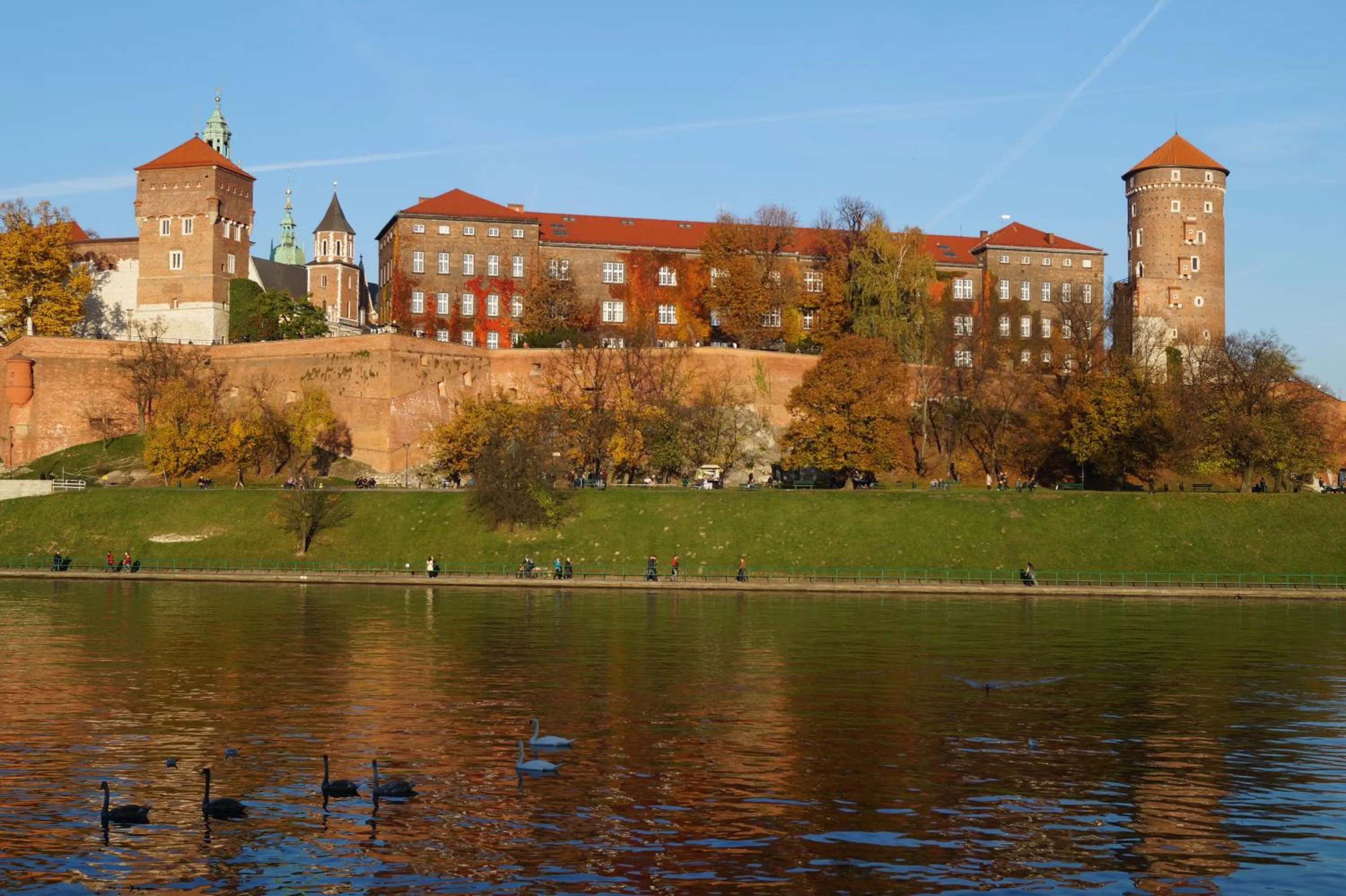 Neighbourhood in Zamkowa15 Apartments