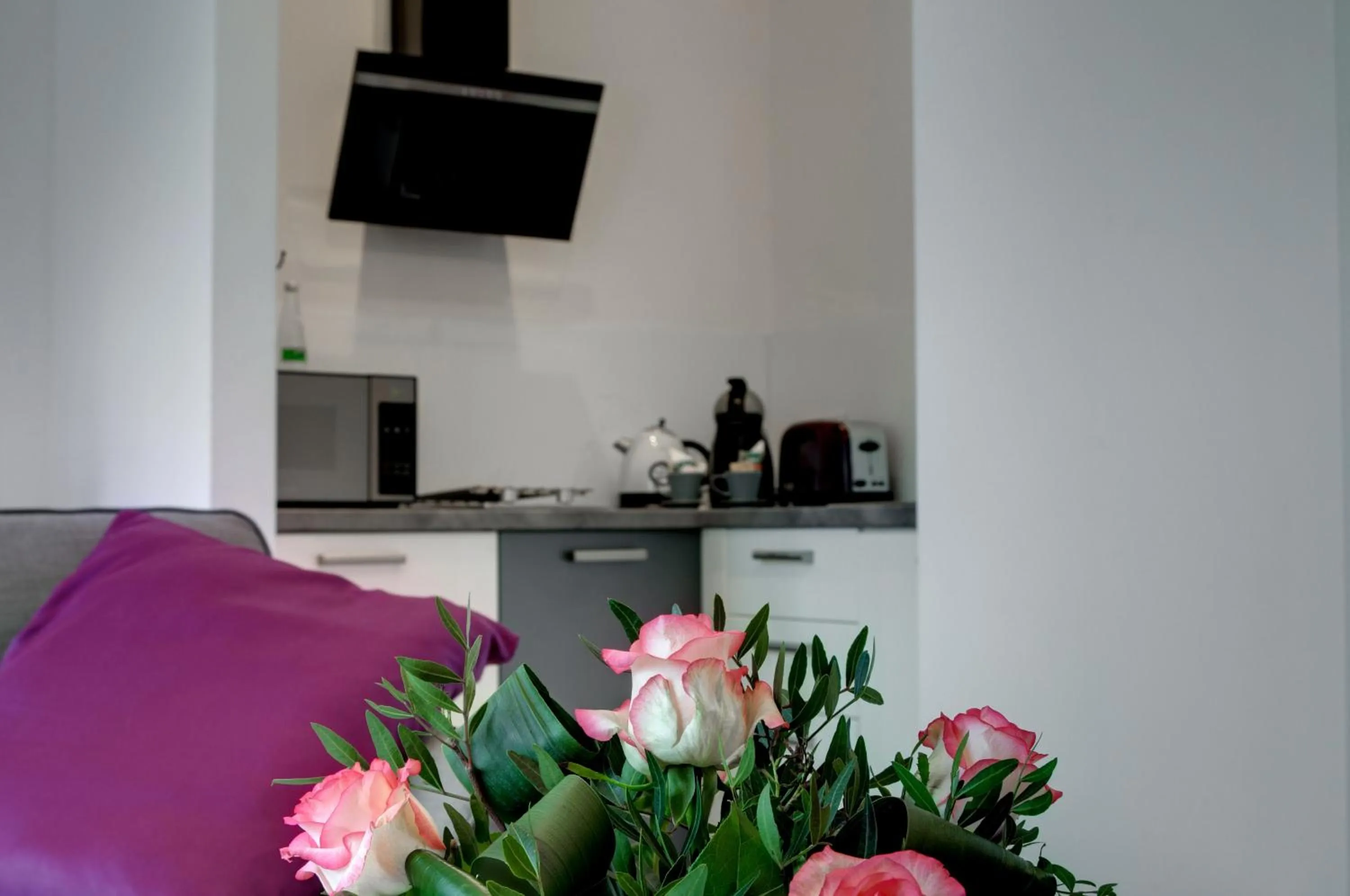 kitchen in Zamkowa15 Apartments