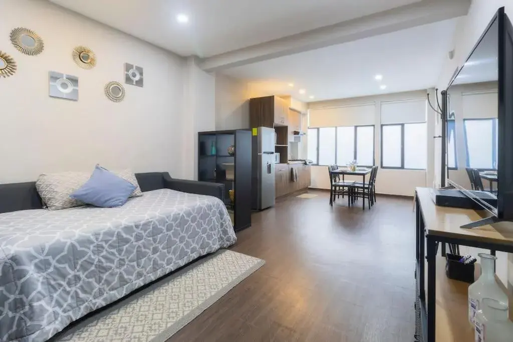 301 Historic building 1Bdrm 1bath AC Rooftop 301 Historic building 1Bdrm 1bath AC Rooftop