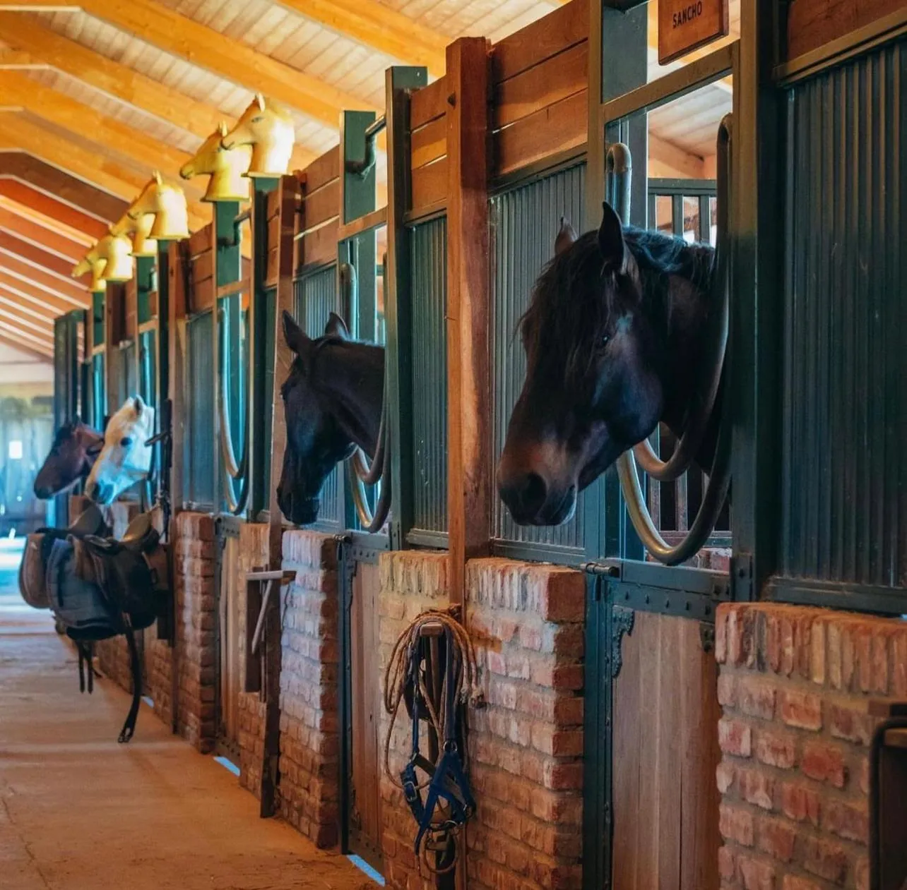 Villa Ambassadori Kachreti Golf Resort