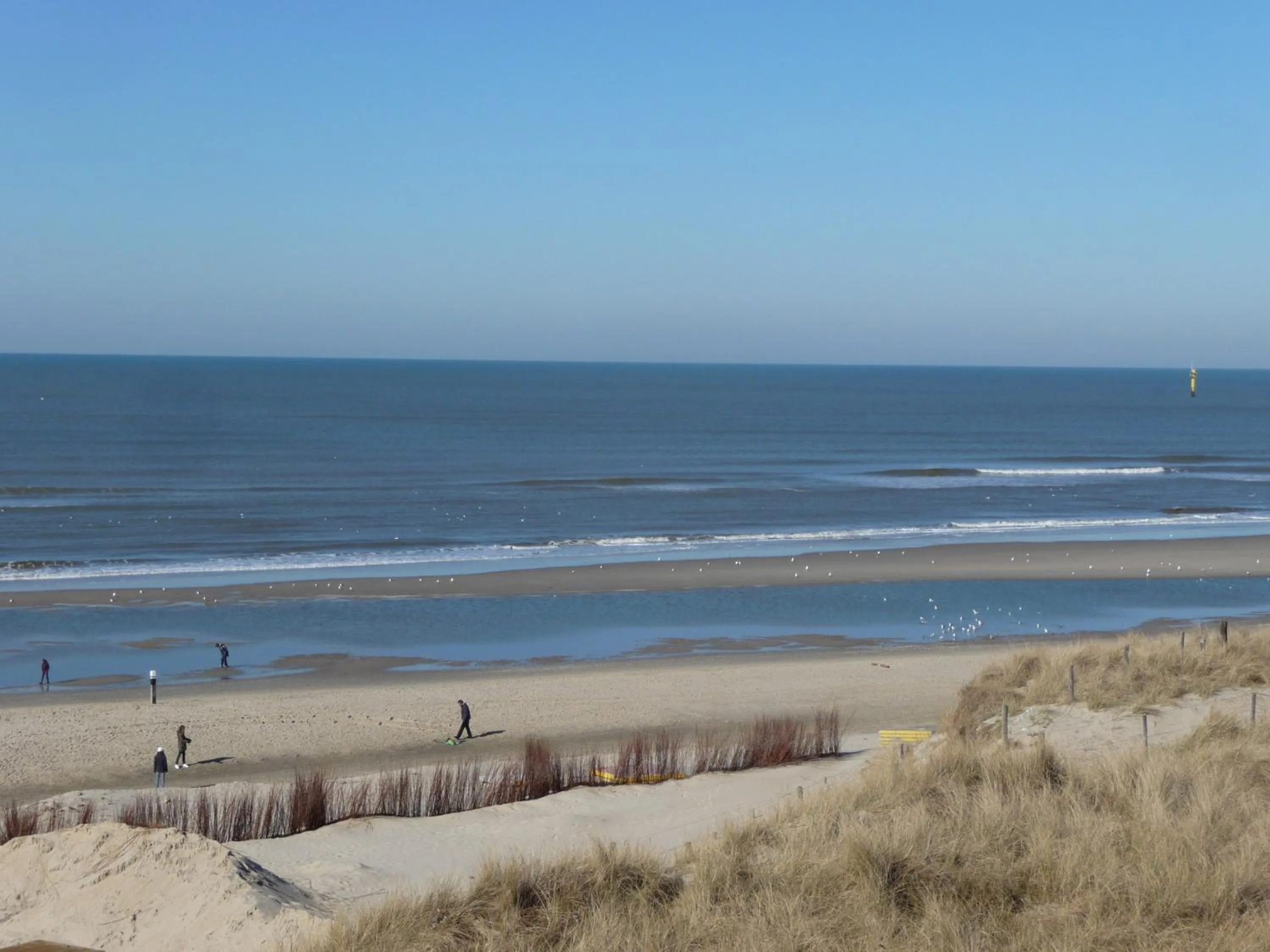 Natural landscape in Strandhotel Noordzee