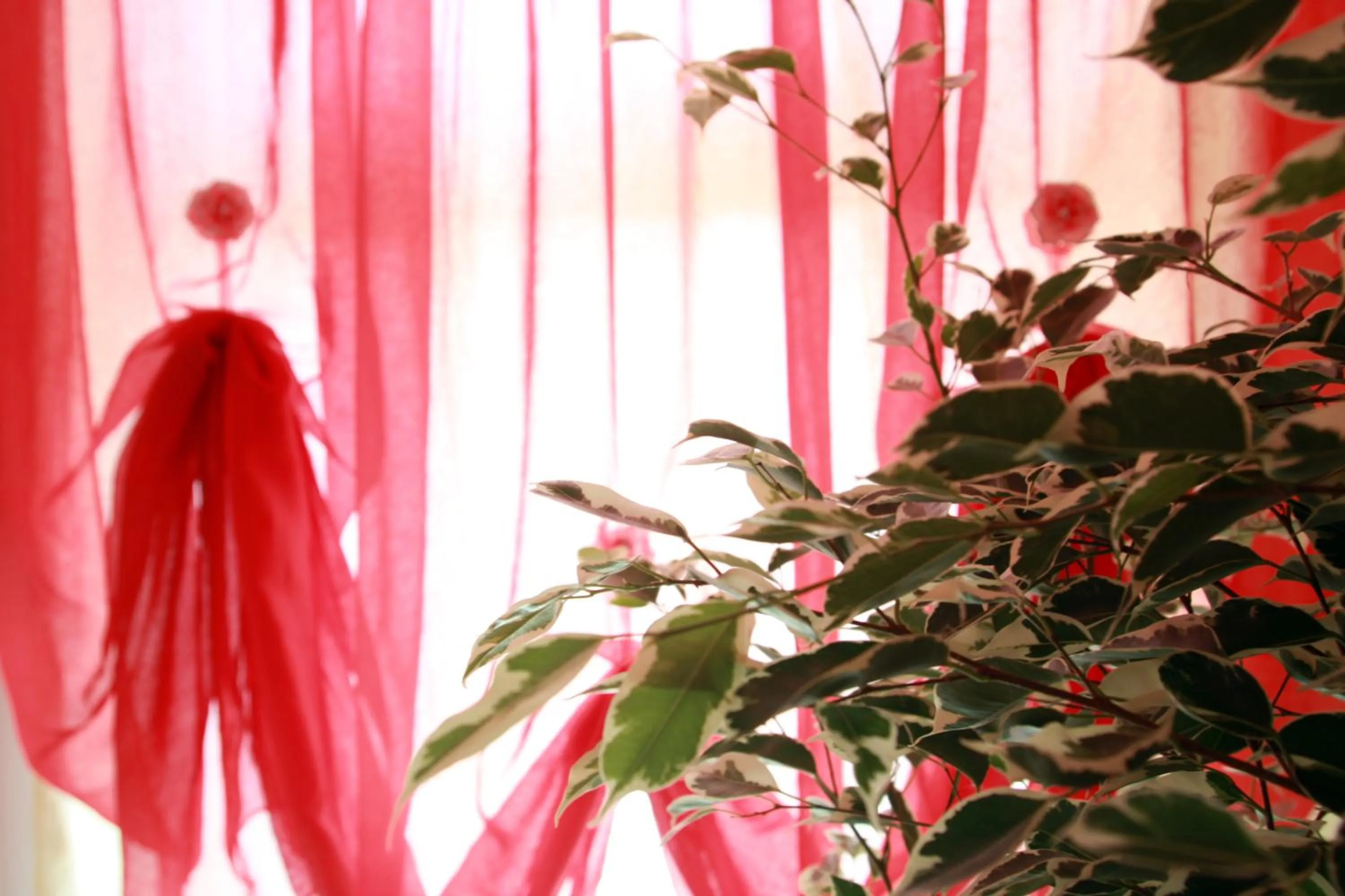 Other in Hotel Venere