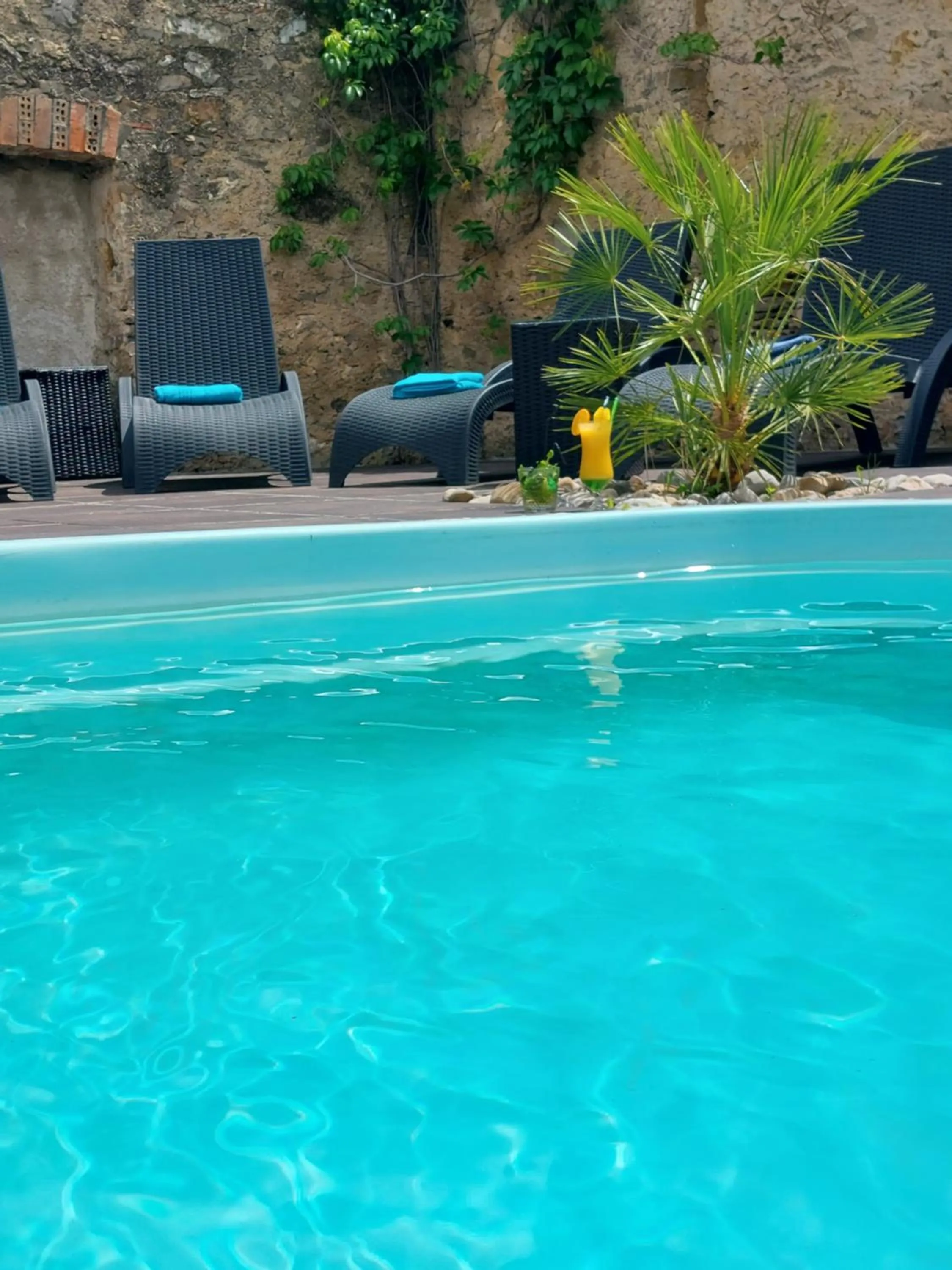 Pool view in Hôtel Restaurant L'Art des Mets by Côté Jardin