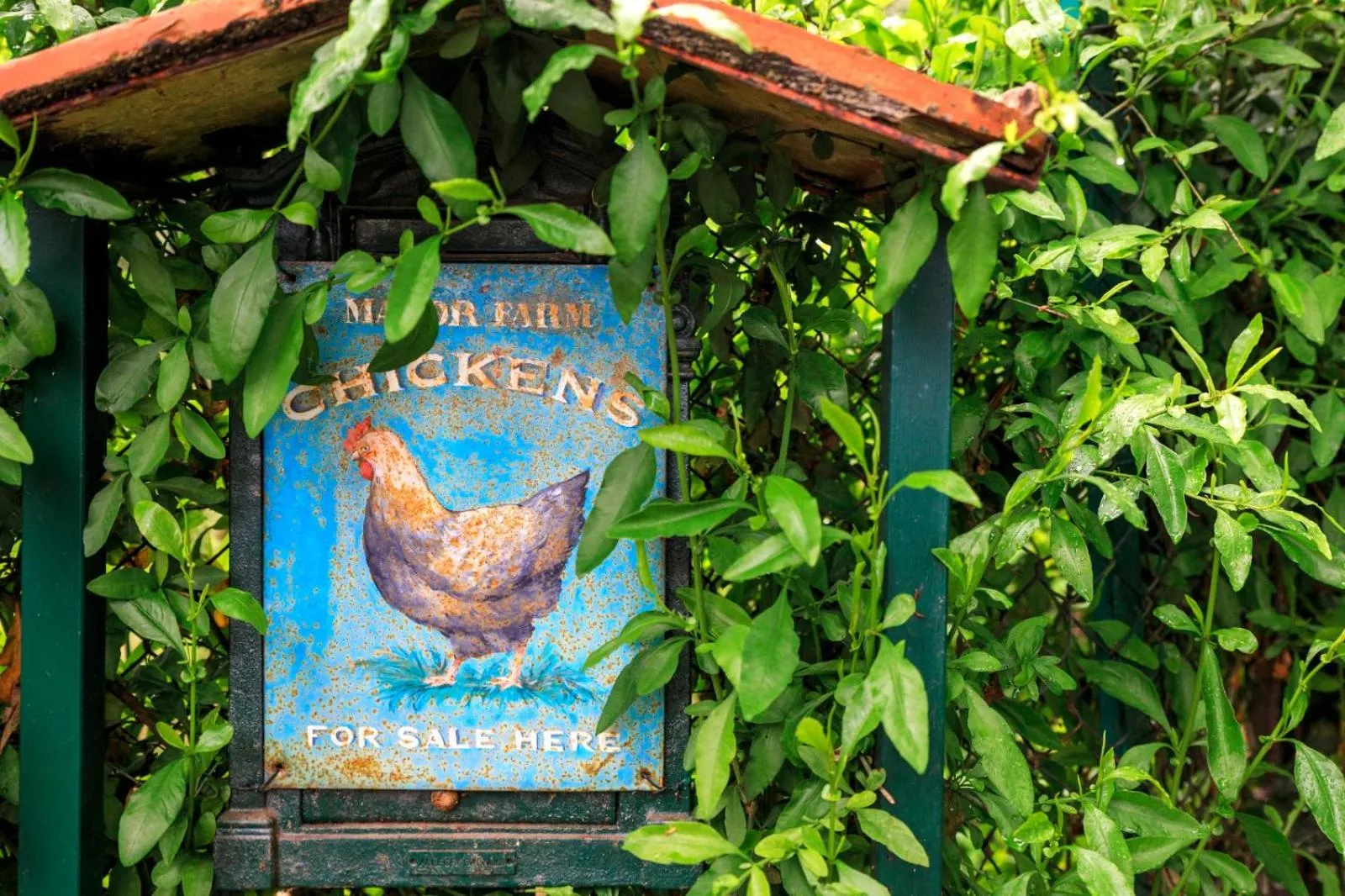 Garden in I Glicini Appartamento