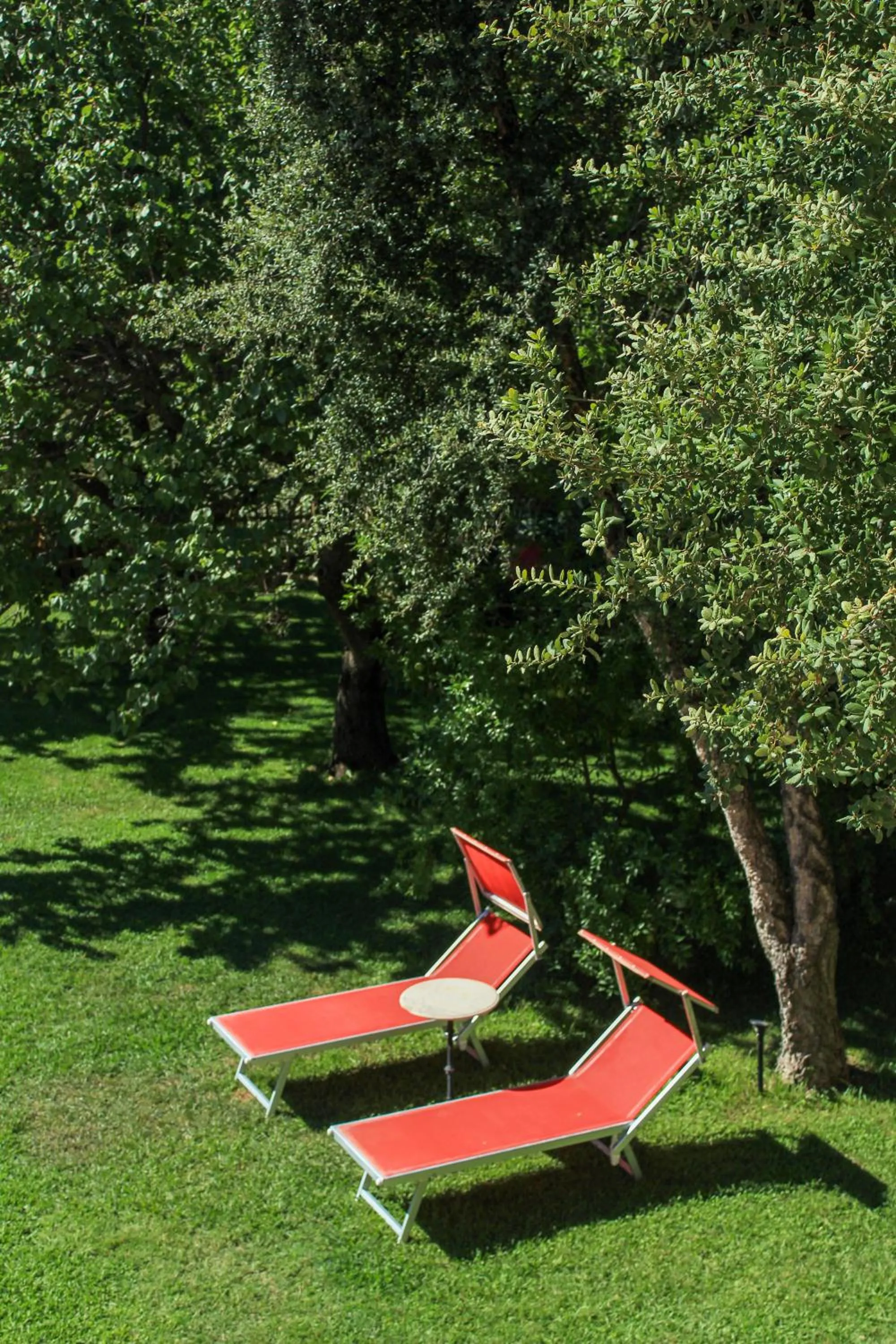 I Glicini Appartamento