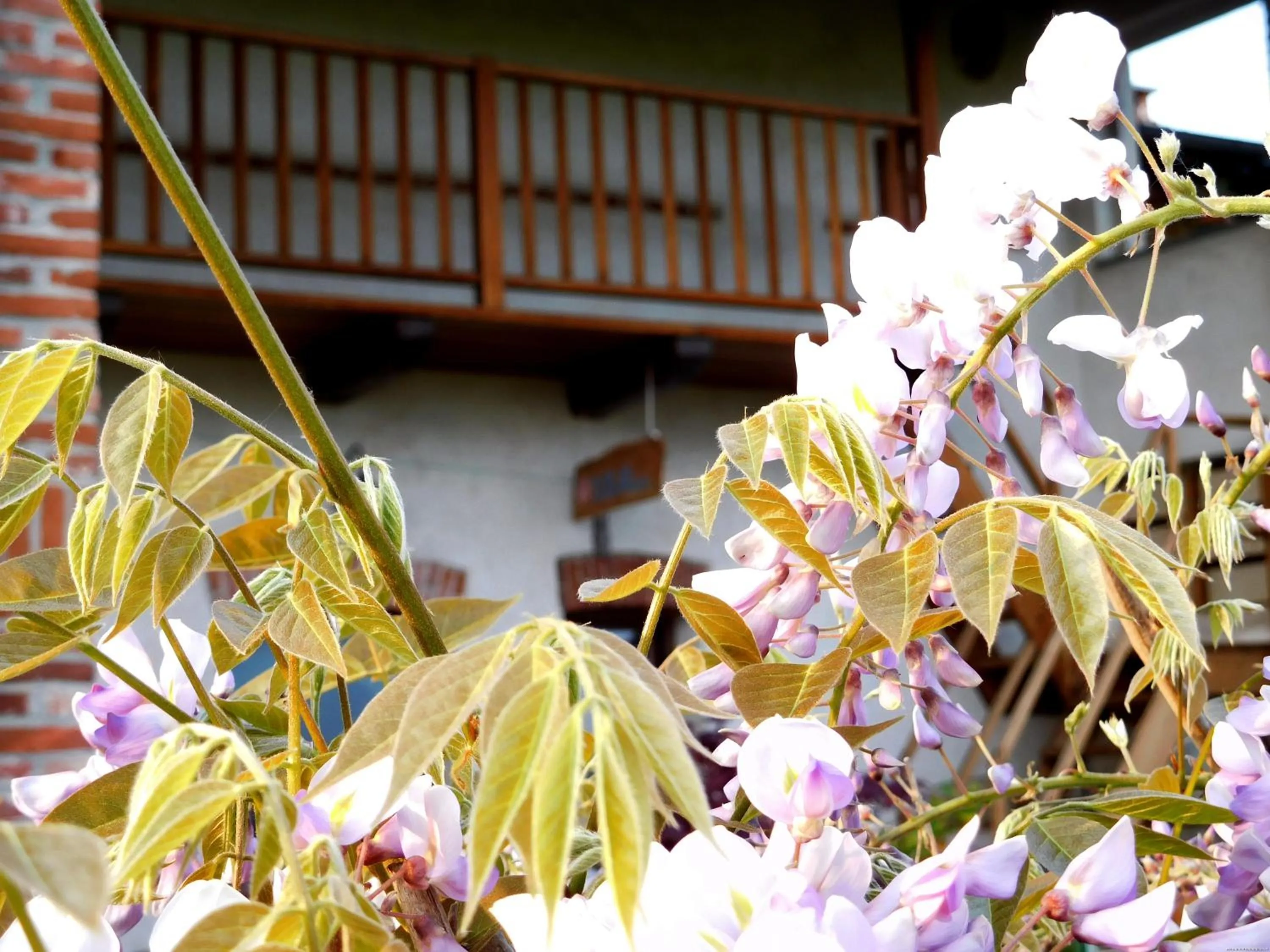 Floor plan in Bed and breakfast Al Rudun