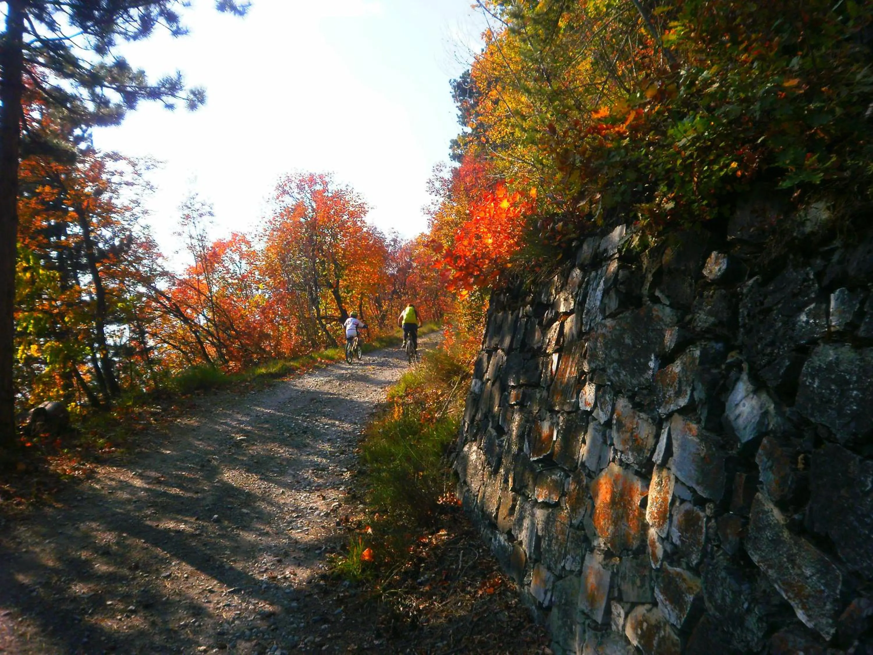 Cycling in Bed and breakfast Al Rudun