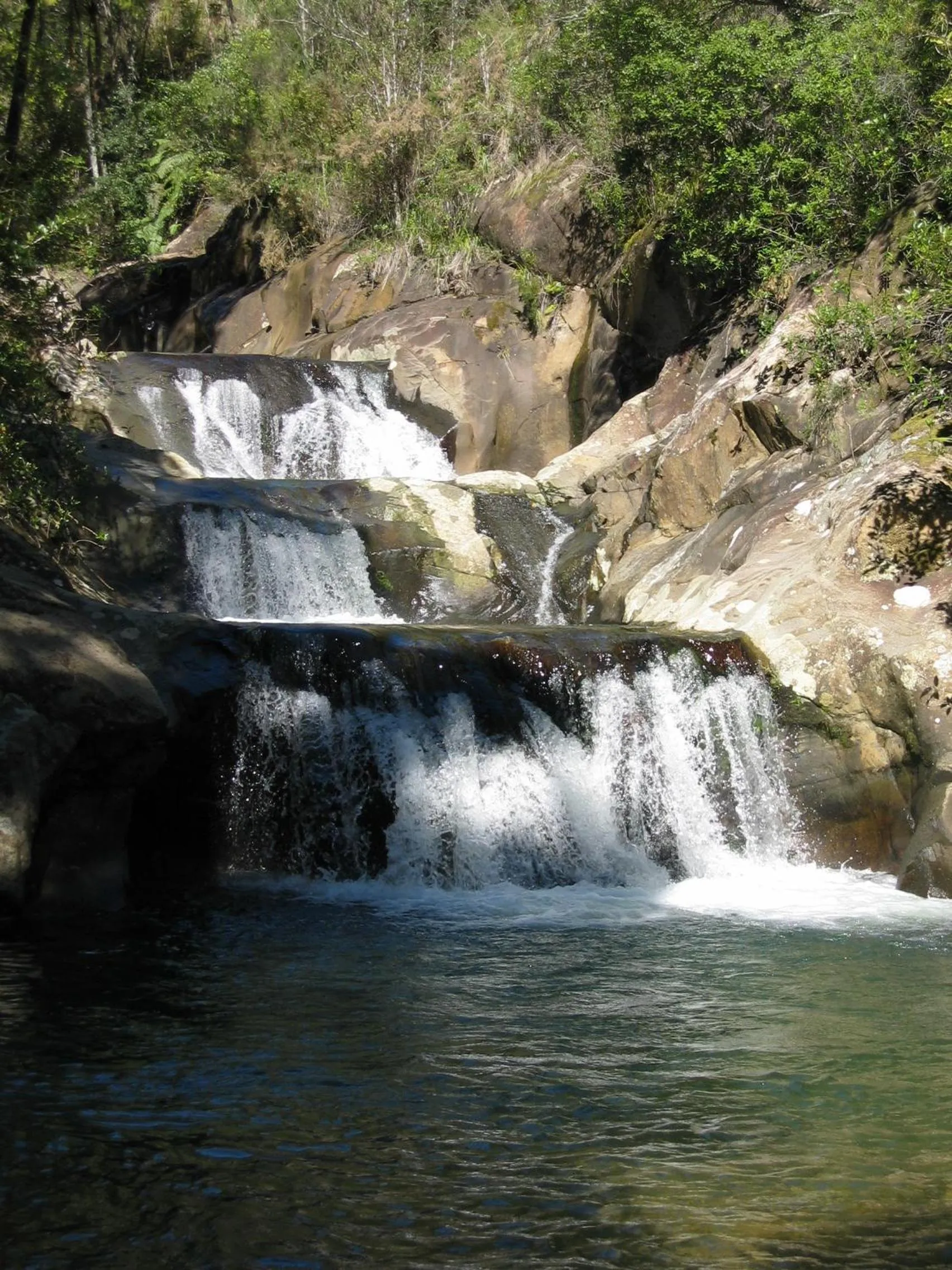 Garden in Rapaura Watergardens