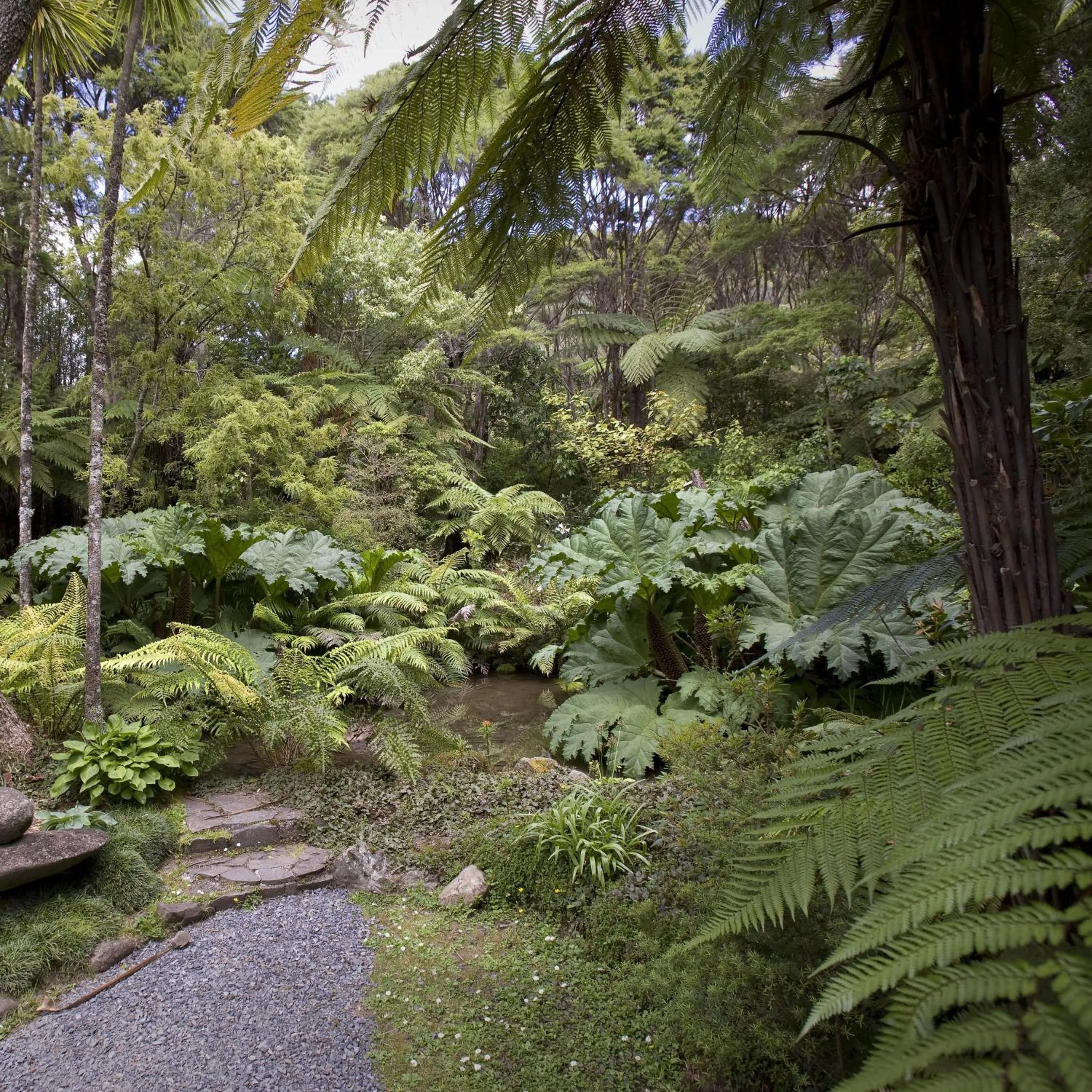 Garden in Rapaura Watergardens