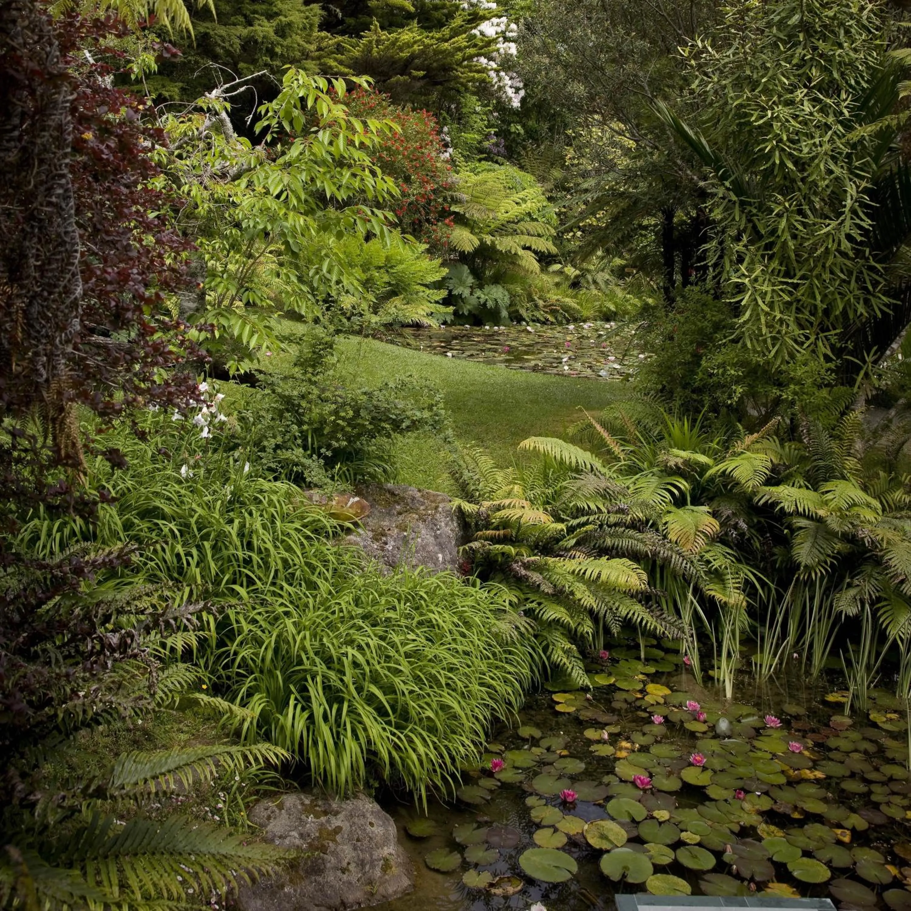 Garden in Rapaura Watergardens