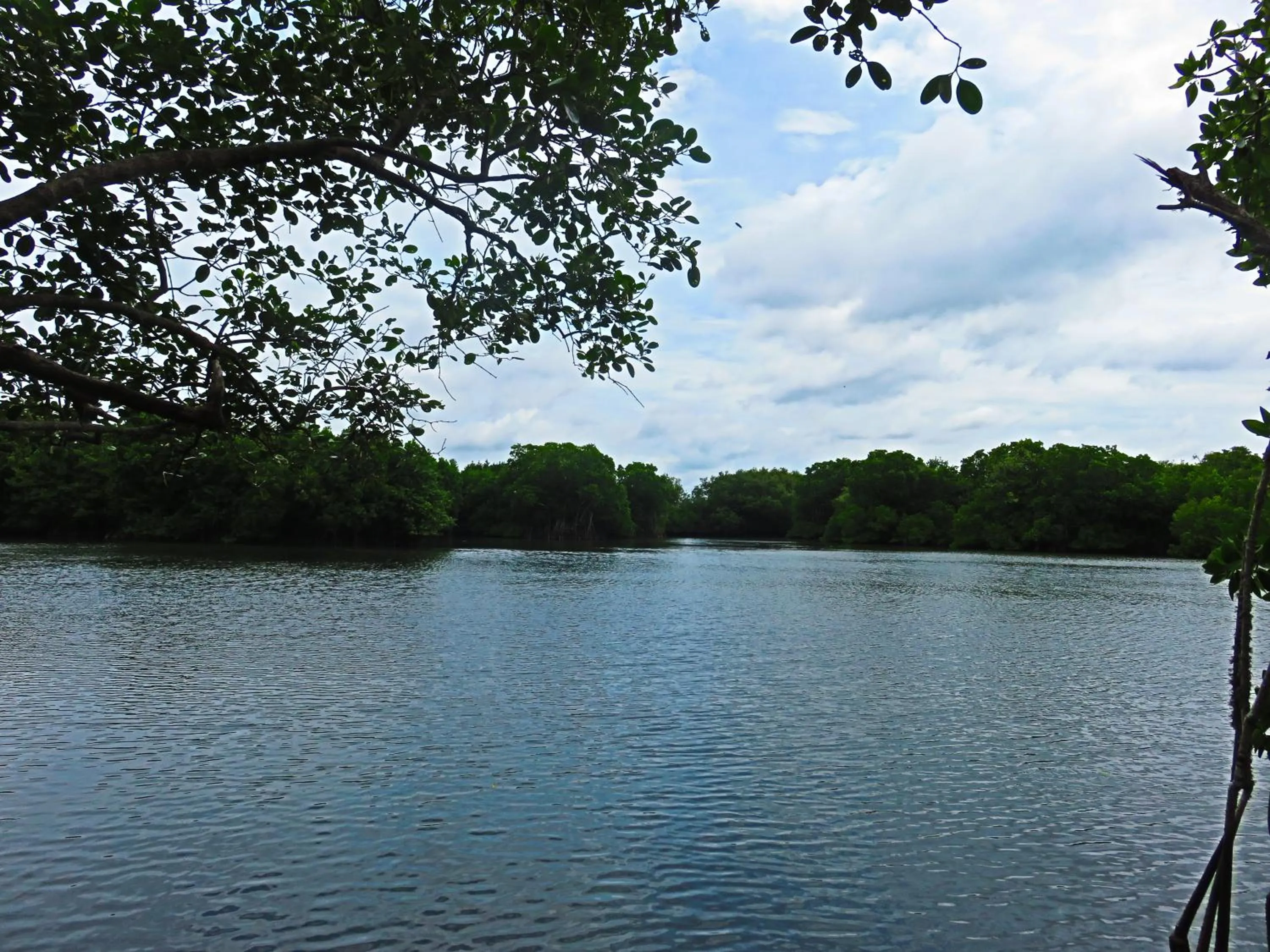 View (from property/room) in Beach Lagoon Guesthouse