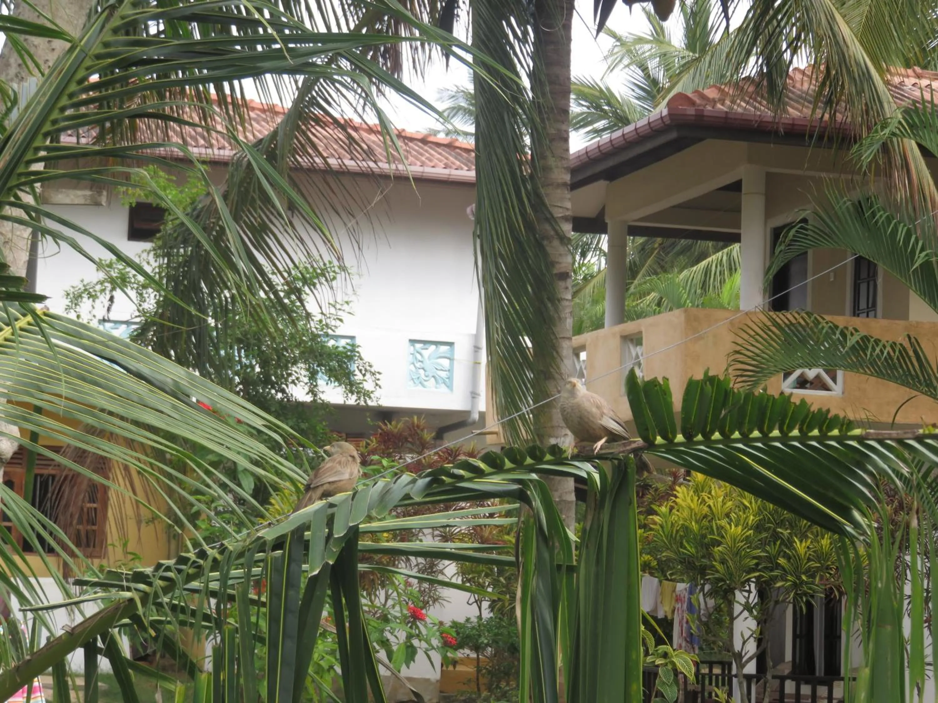 Property building in Beach Lagoon Guesthouse