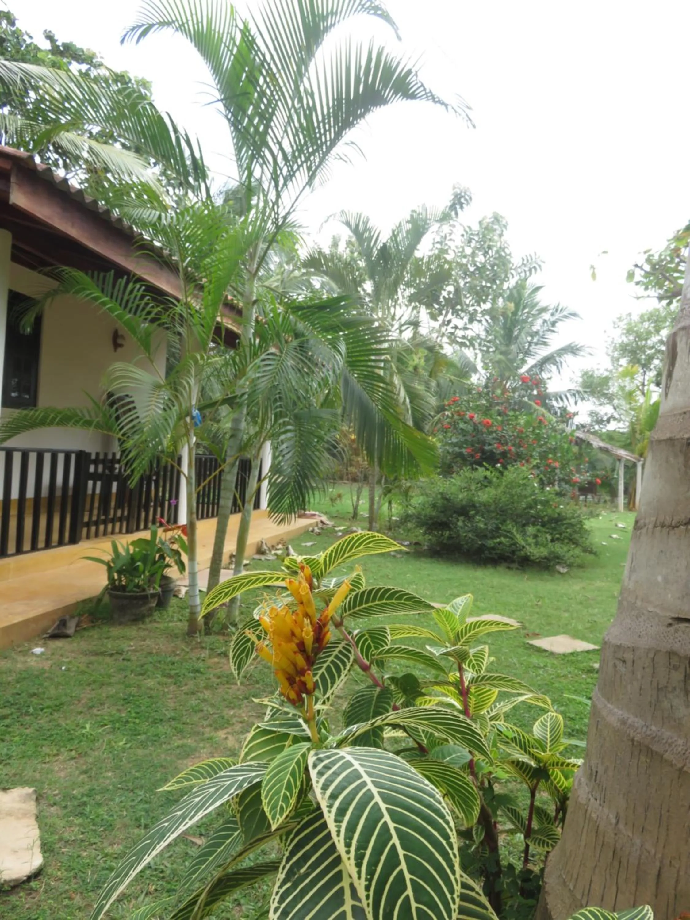 Garden in Beach Lagoon Guesthouse