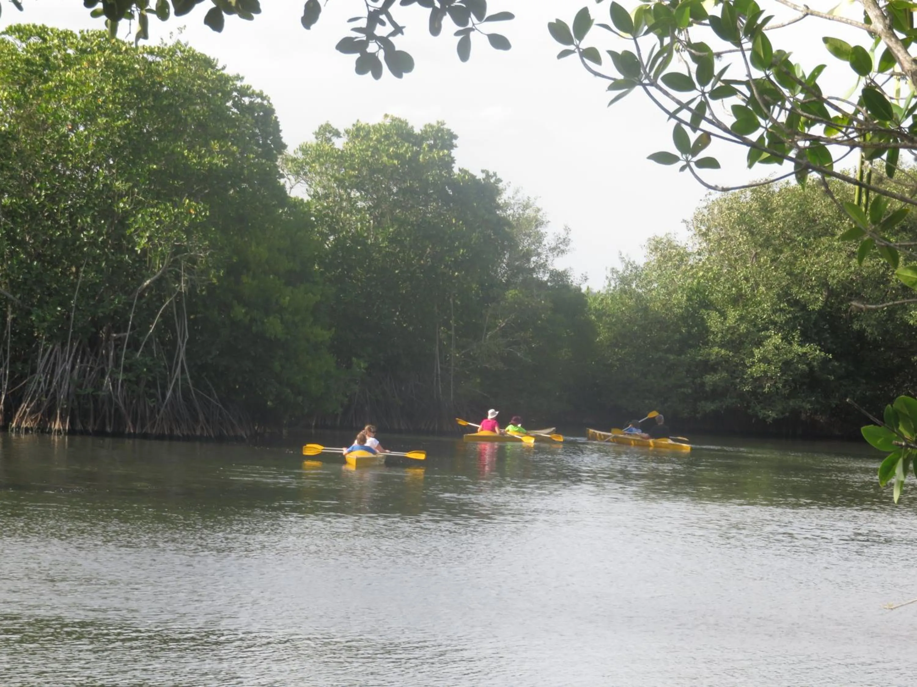 Activities in Beach Lagoon Guesthouse