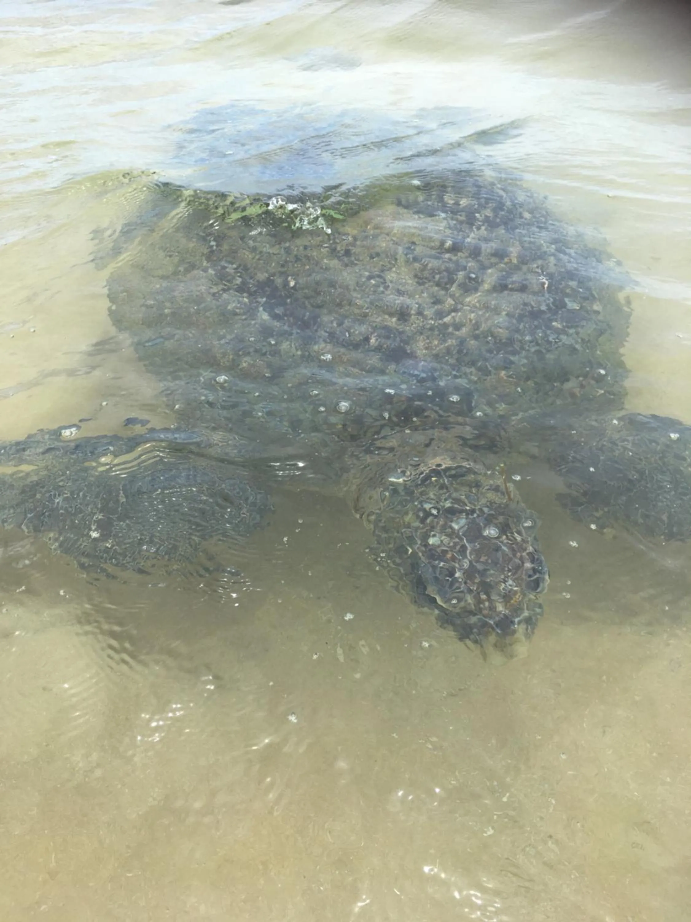 Beach in Beach Lagoon Guesthouse