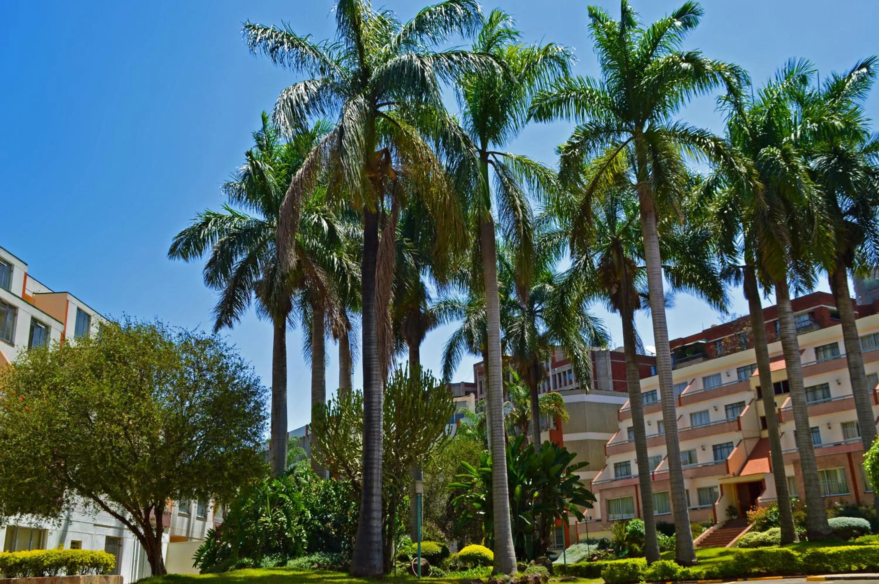 Day in Norfolk Towers Serviced Apartment -Nairobi, City Centre CBD