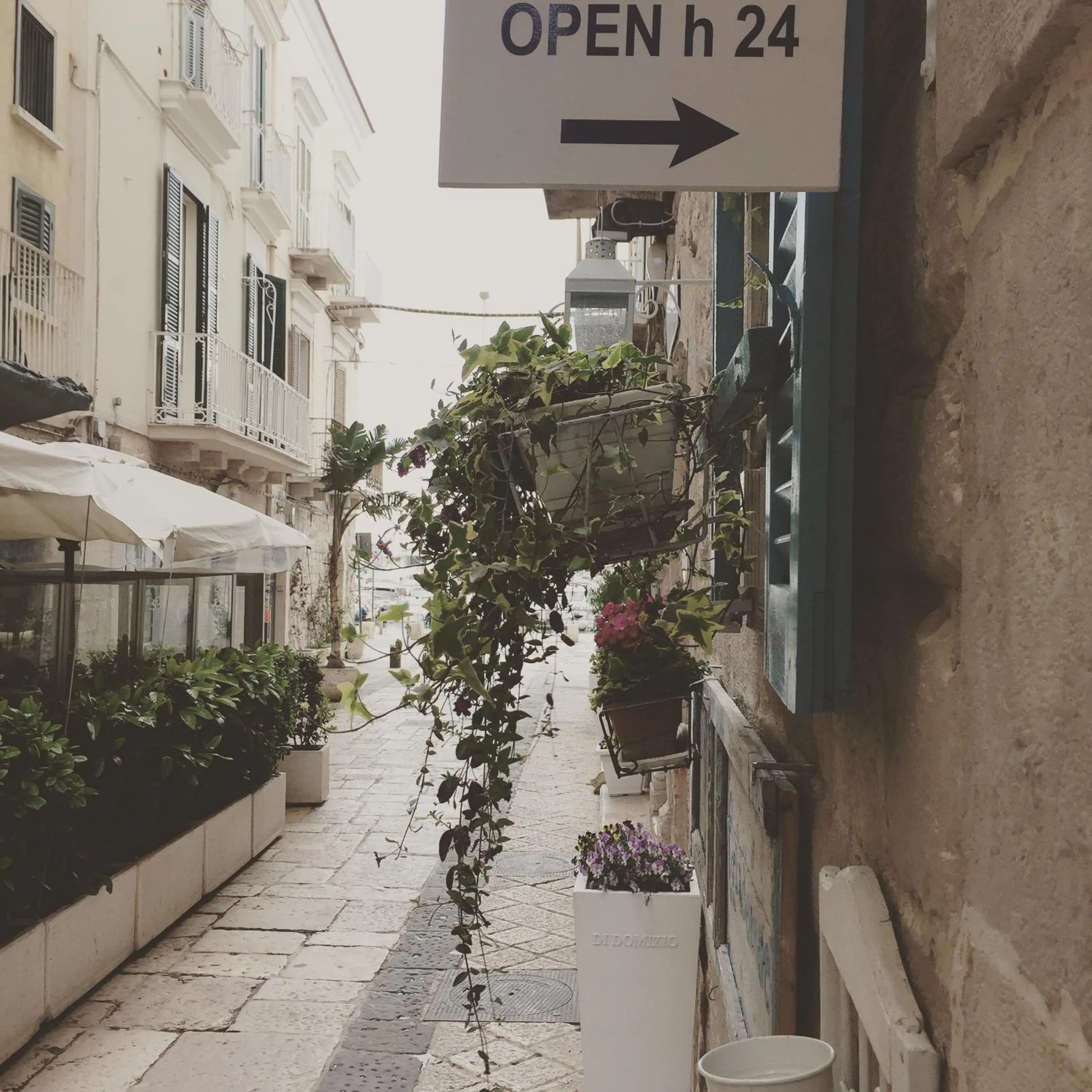 Logo/Certificate/Sign in Portadamare