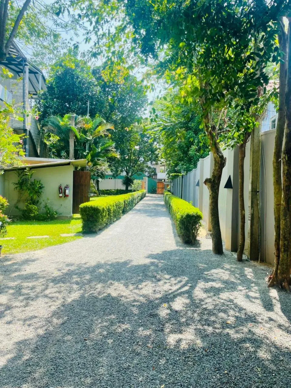 Garden in Unawatuna Nor Lanka Hotel
