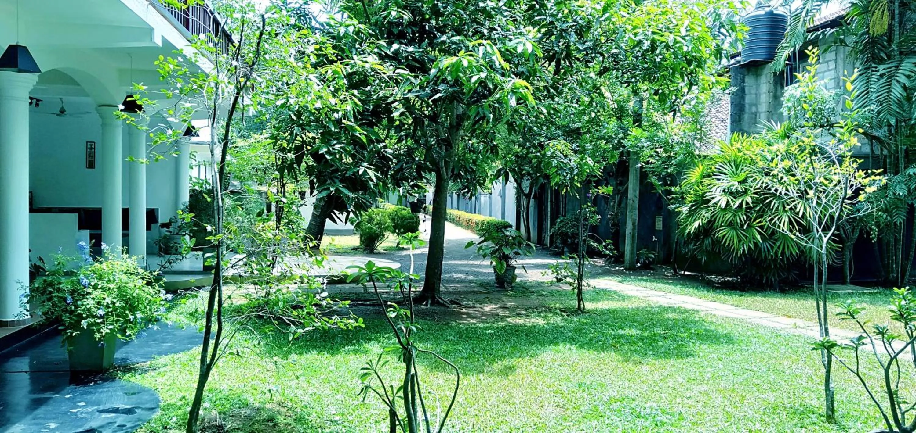 Garden in Unawatuna Nor Lanka Hotel