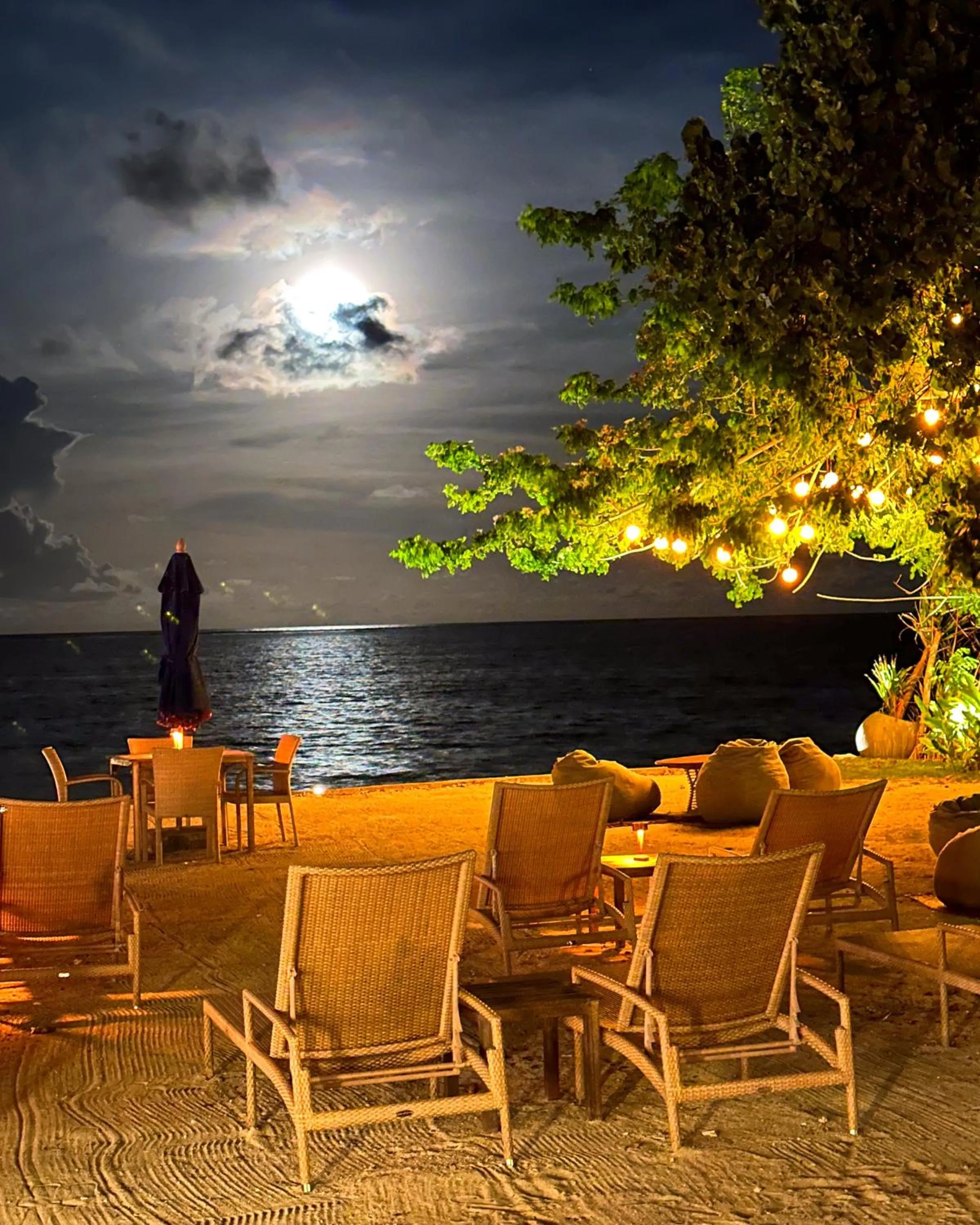 Beach in Reef Beach Resort