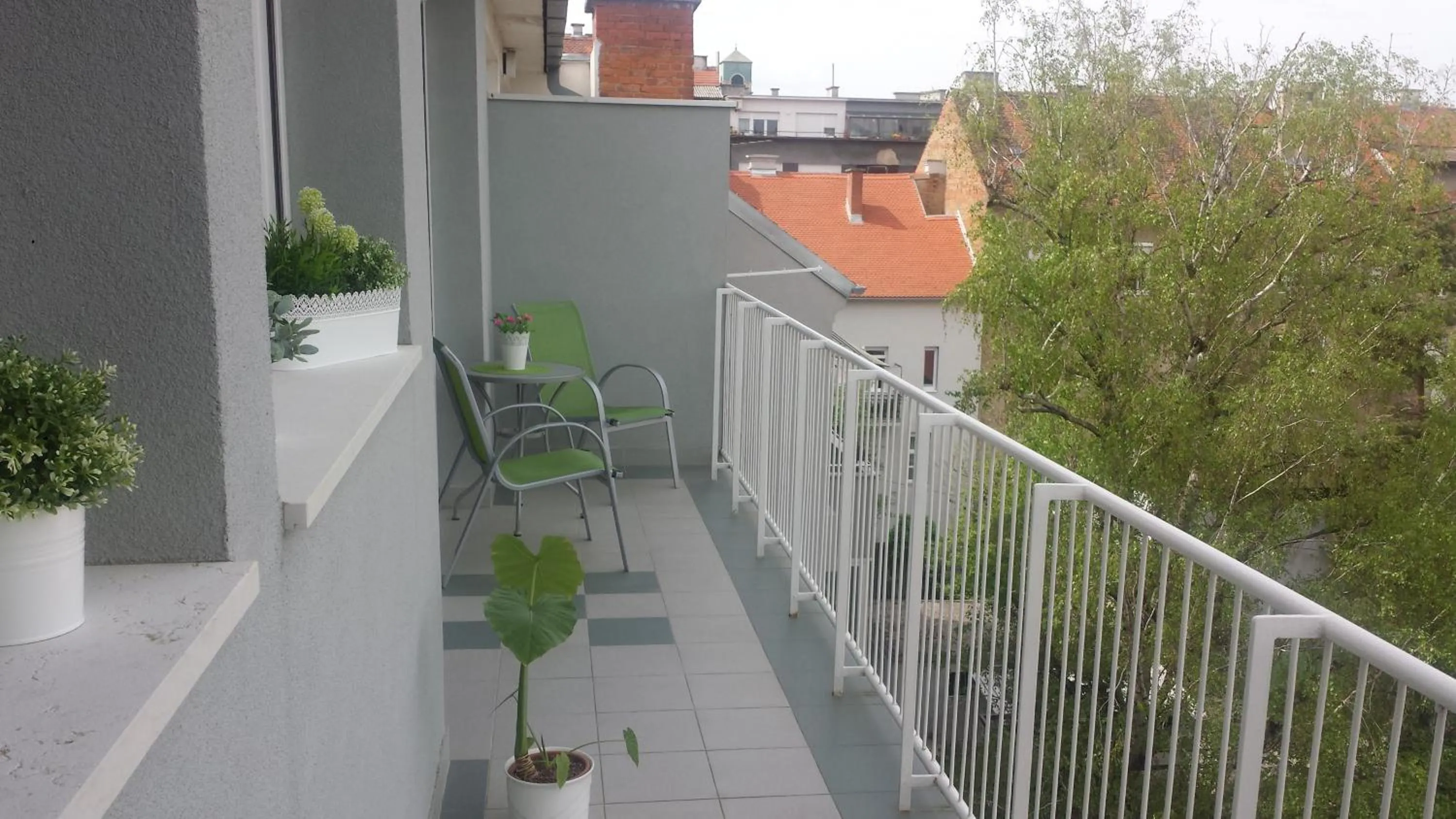 Spring in Bellevue Apartment