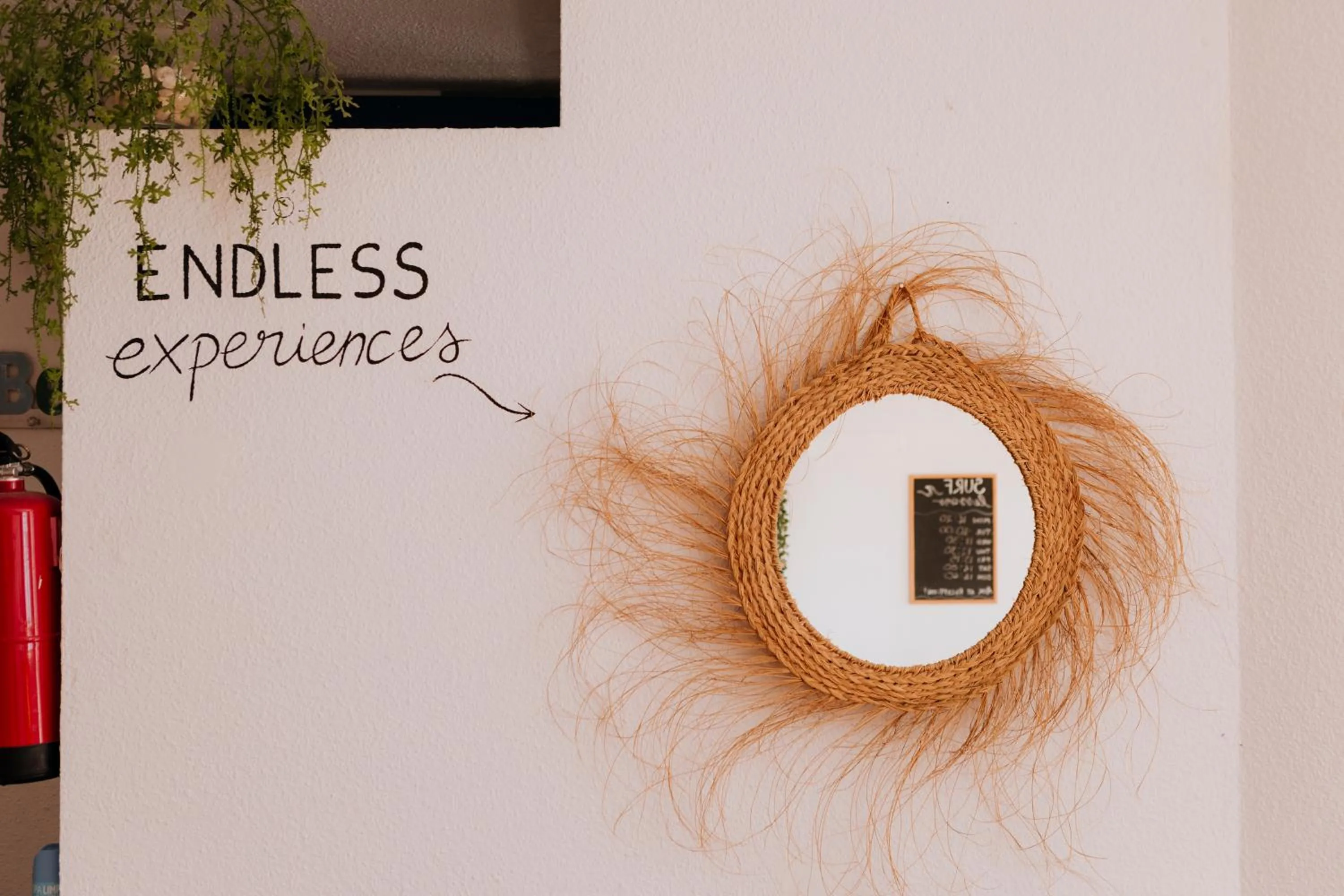 Living room in Endless Summer Hostel