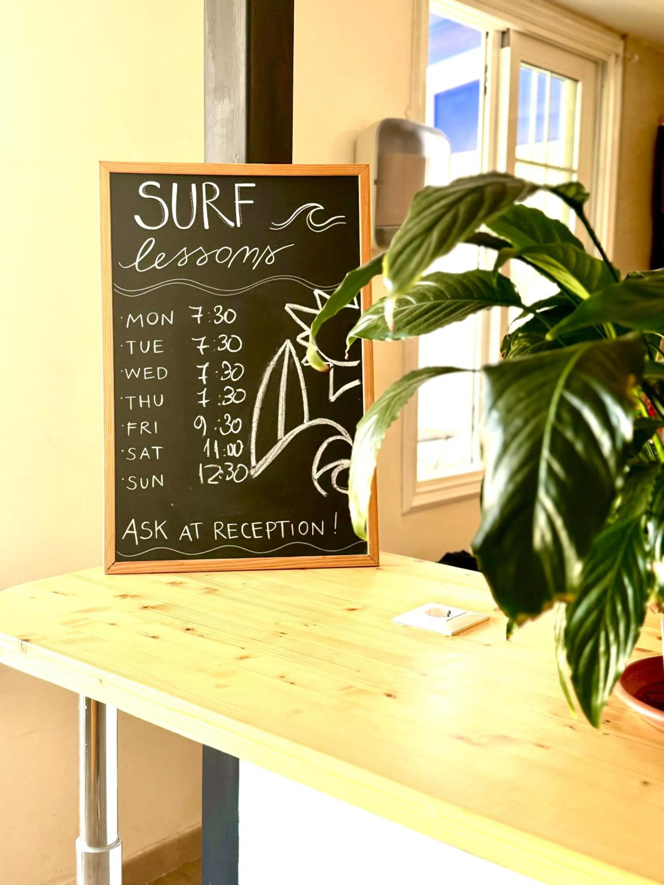 Communal kitchen in Endless Summer Hostel