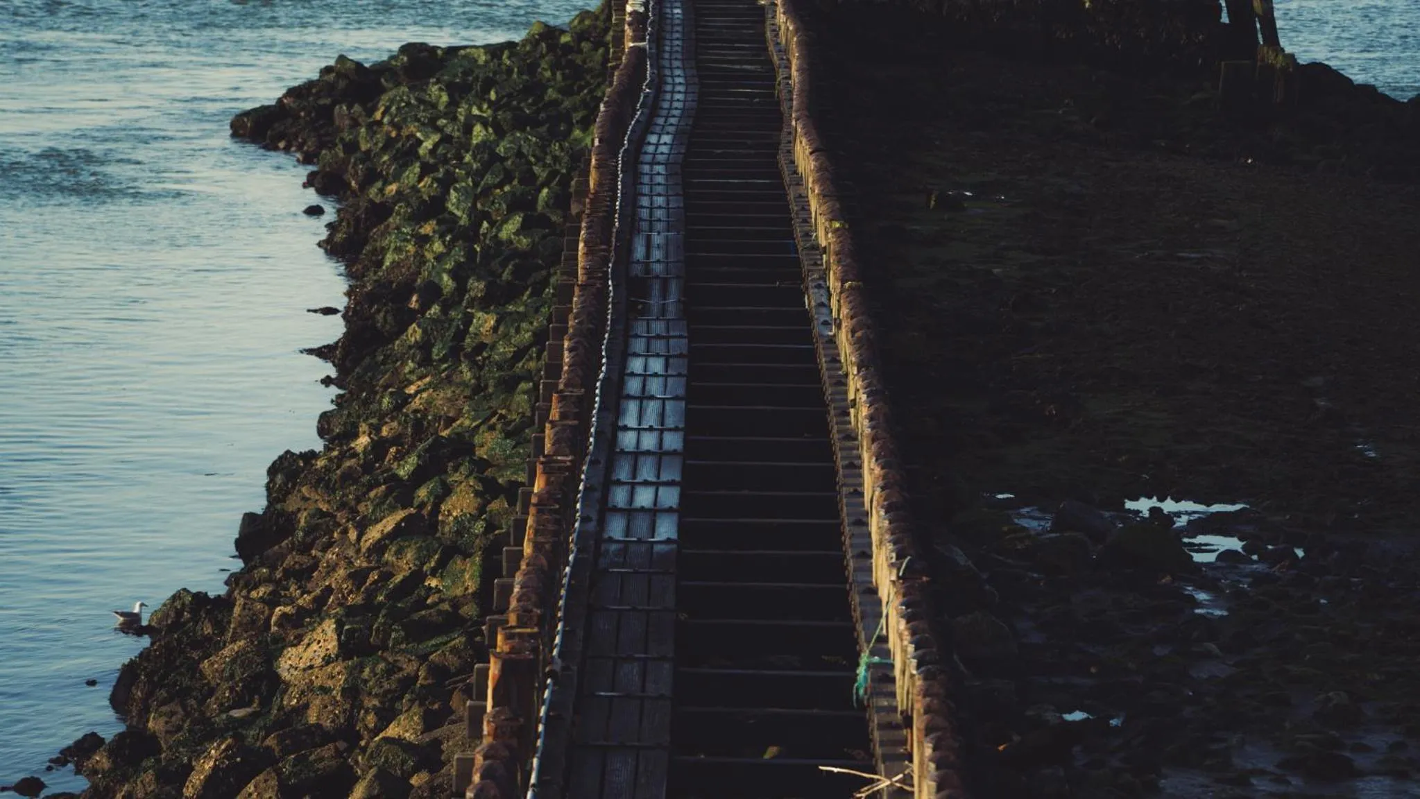 View (from property/room) in Hotel Restaurant Solskin