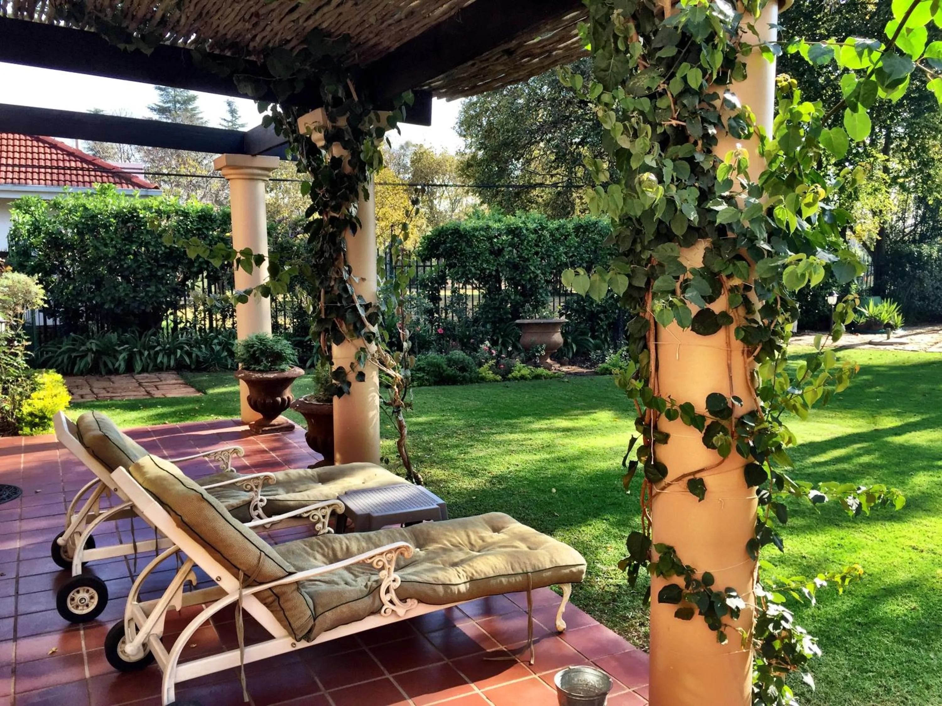 Garden view in MacGregors Guest House