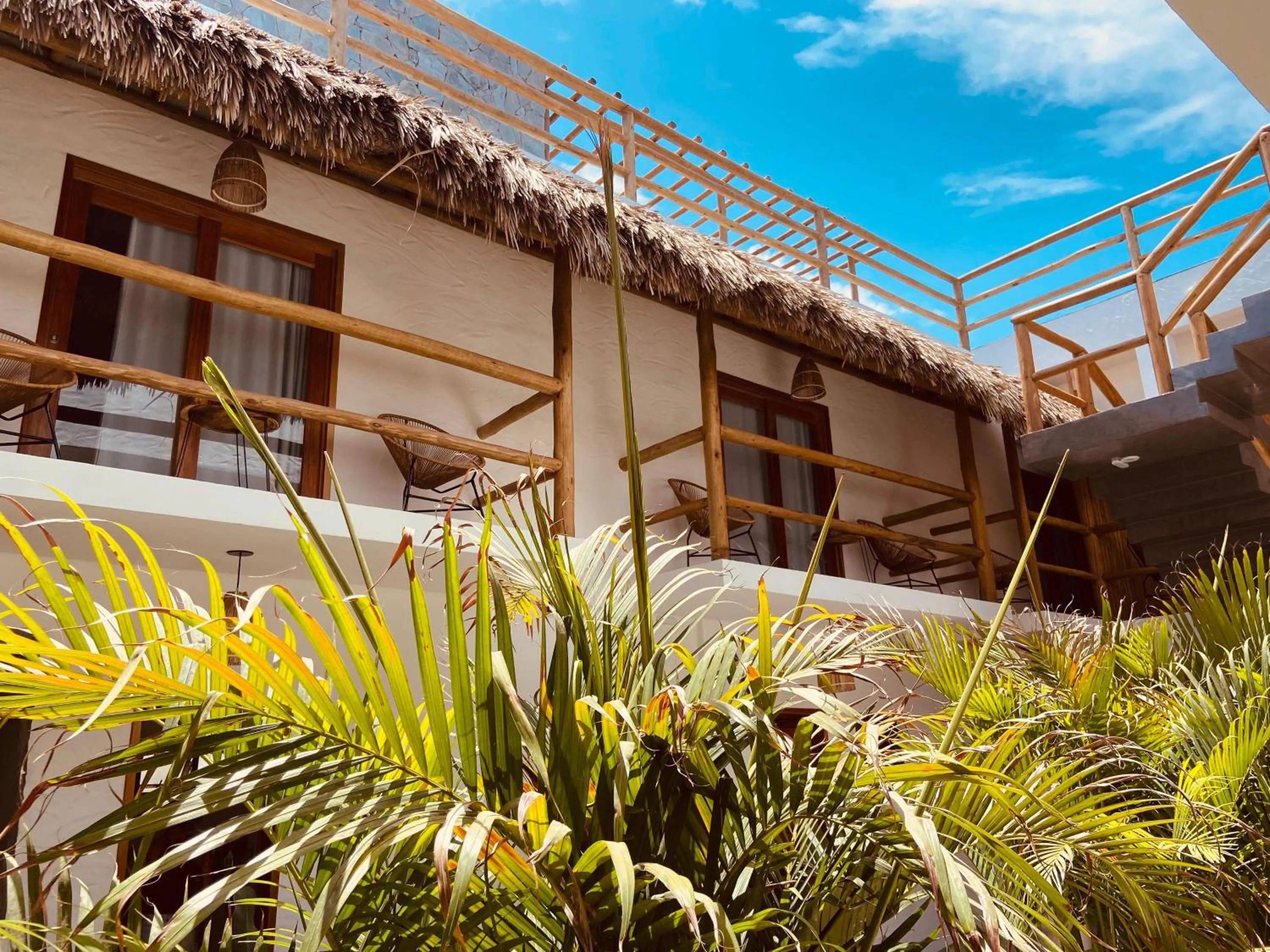 Garden view in Pousada Baobá