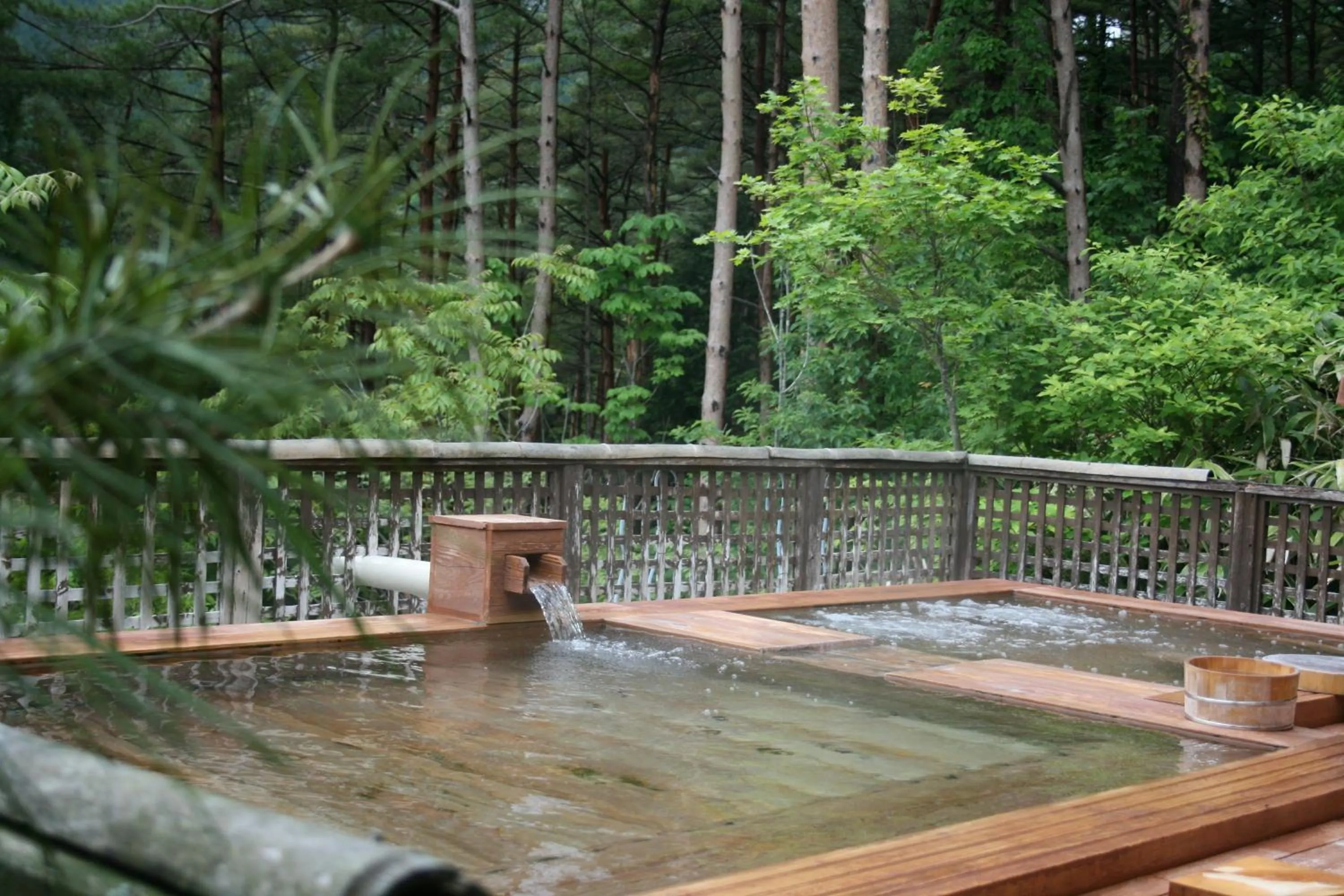 Hot Spring Bath in Hotel Fuki no Mori