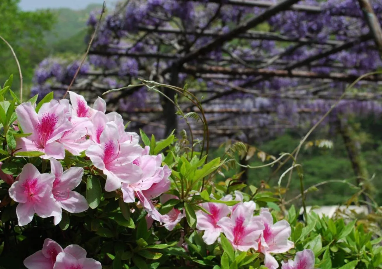 Natural landscape in Okudogo Ichiyunomori