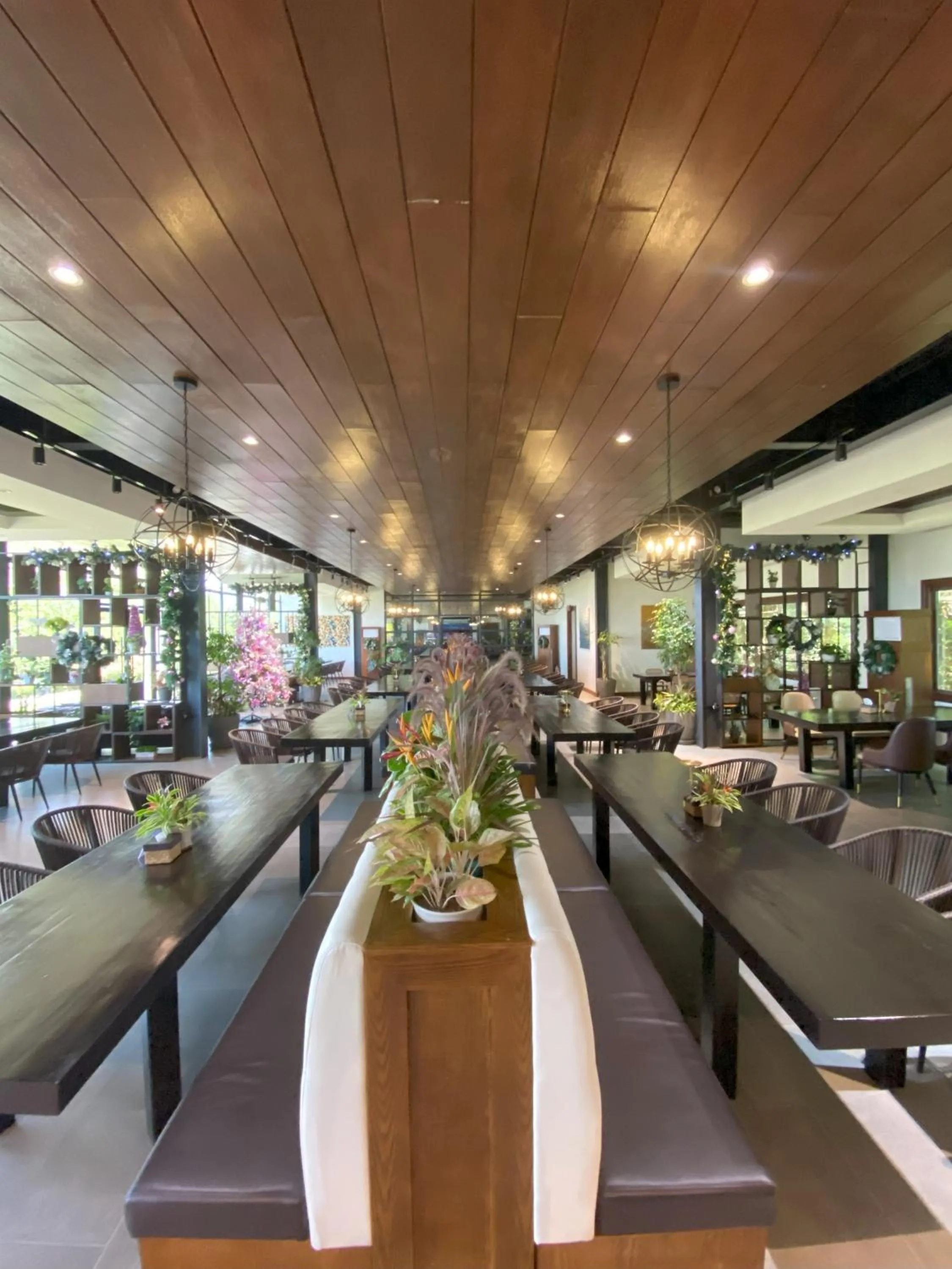 Restaurant/places to eat in The Vineyard at Tanauan