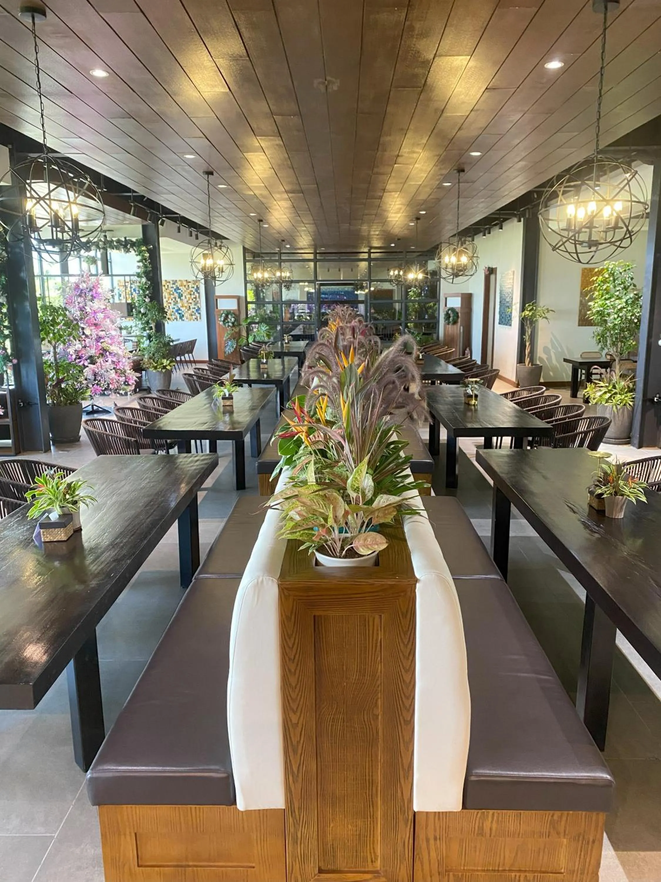 Restaurant/places to eat in The Vineyard at Tanauan