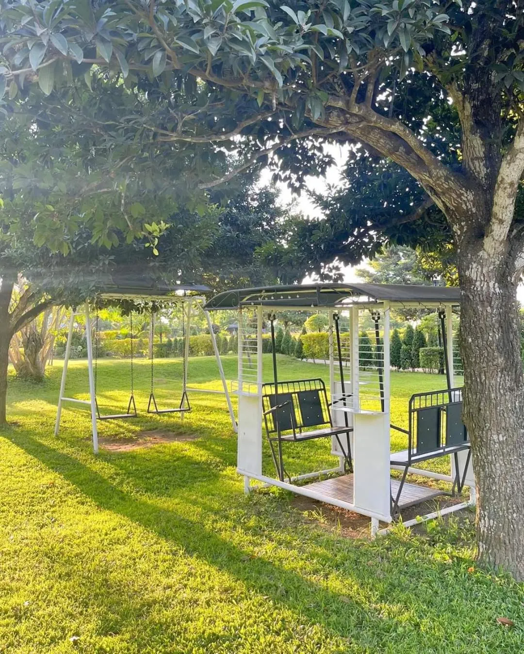 Activities in The Vineyard at Tanauan