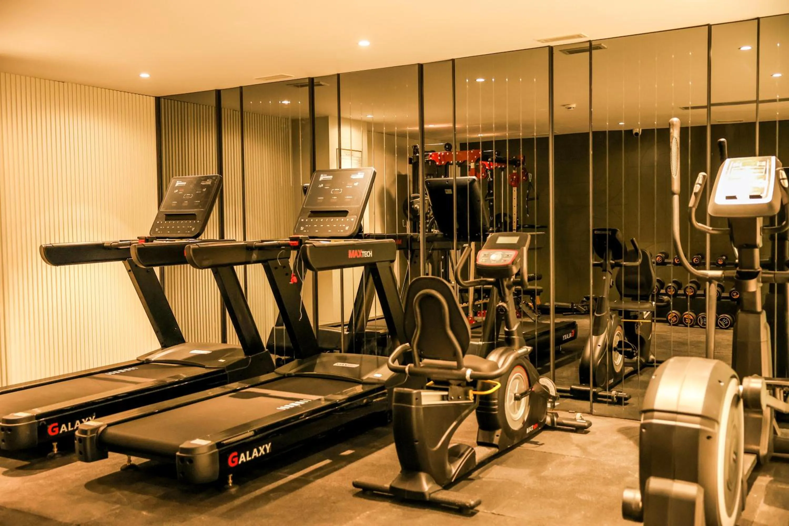 Fitness centre/facilities in Four Hills Hotel