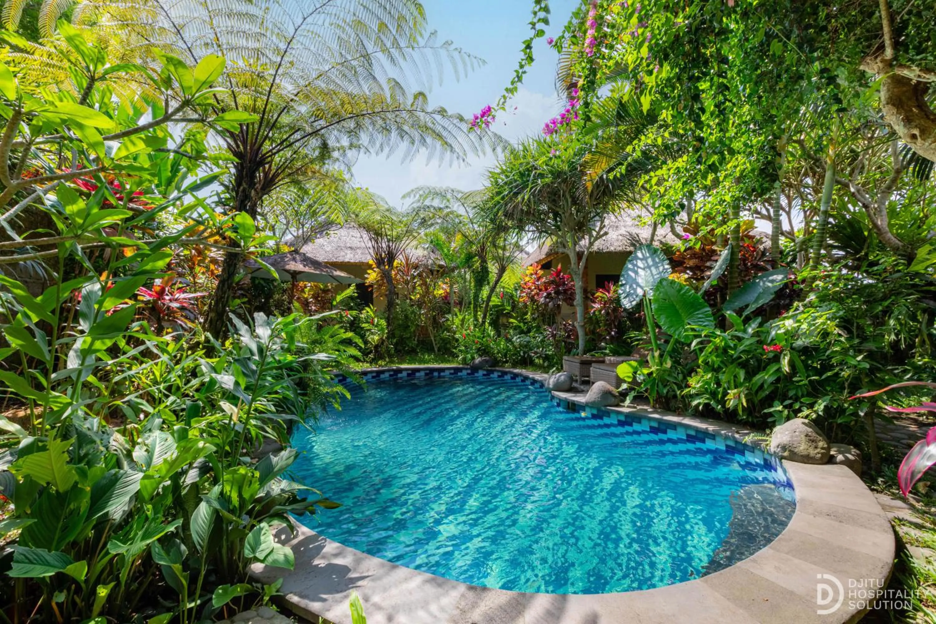 Swimming pool in Gopala Villa Ubud