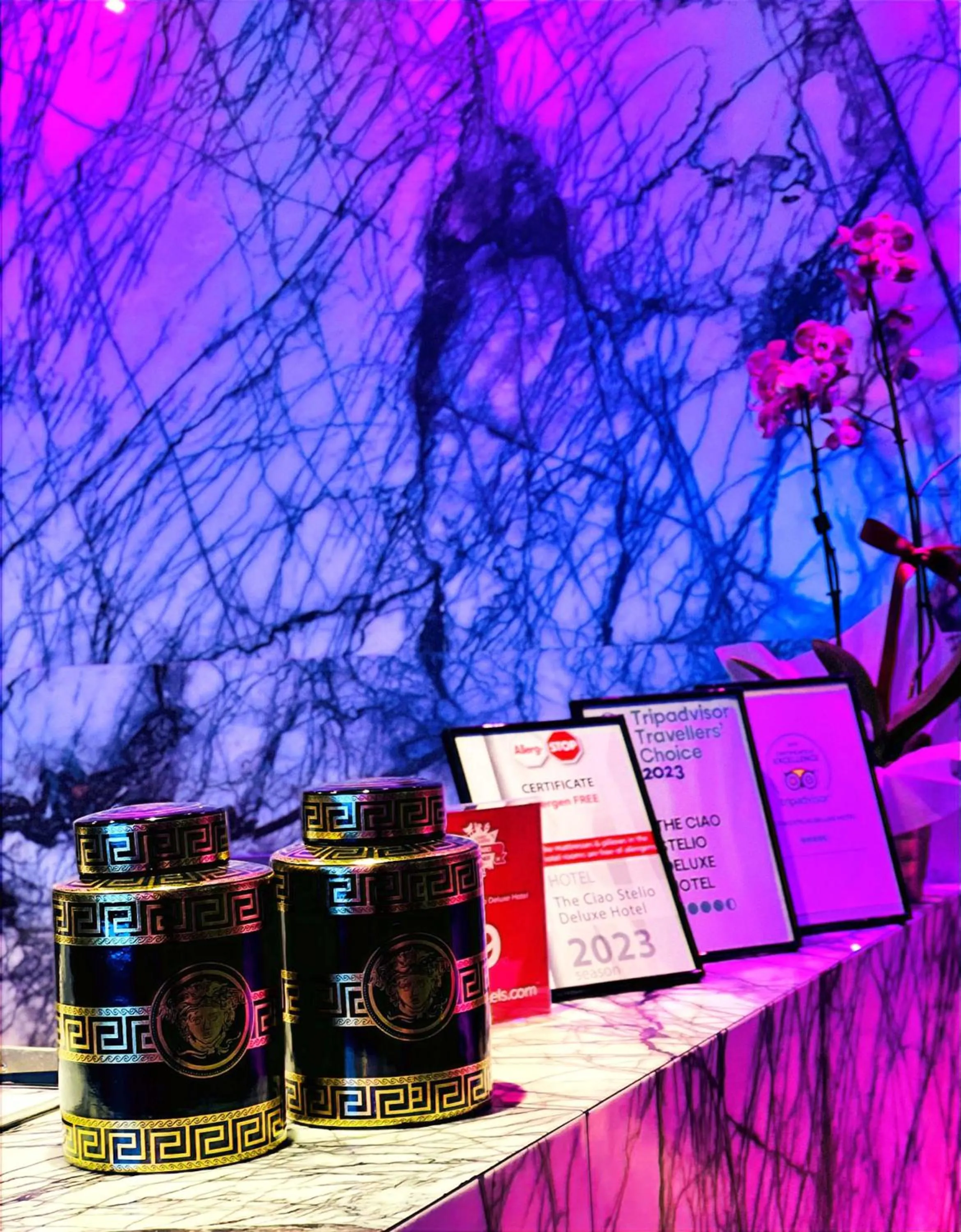 Lobby or reception in The Ciao Stelio Deluxe Boutique Hotel - Adults Only