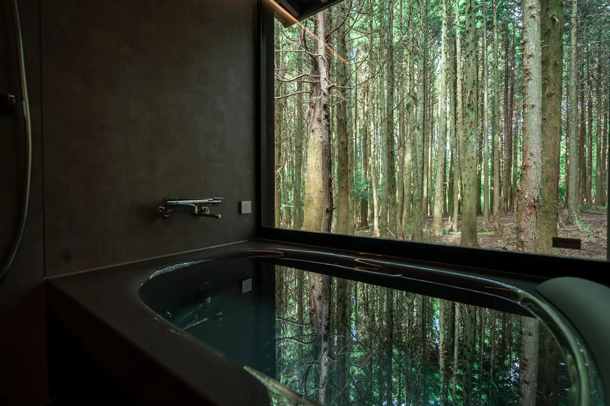 Hot Spring Bath in Forest Inn Born