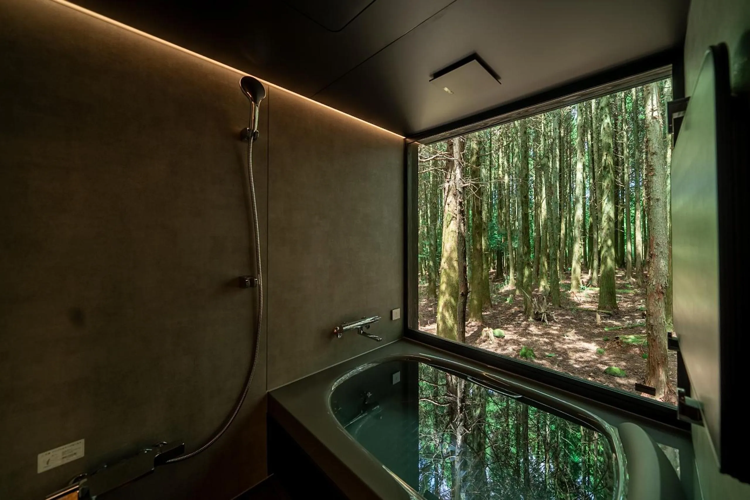 Natural landscape in Forest Inn Born