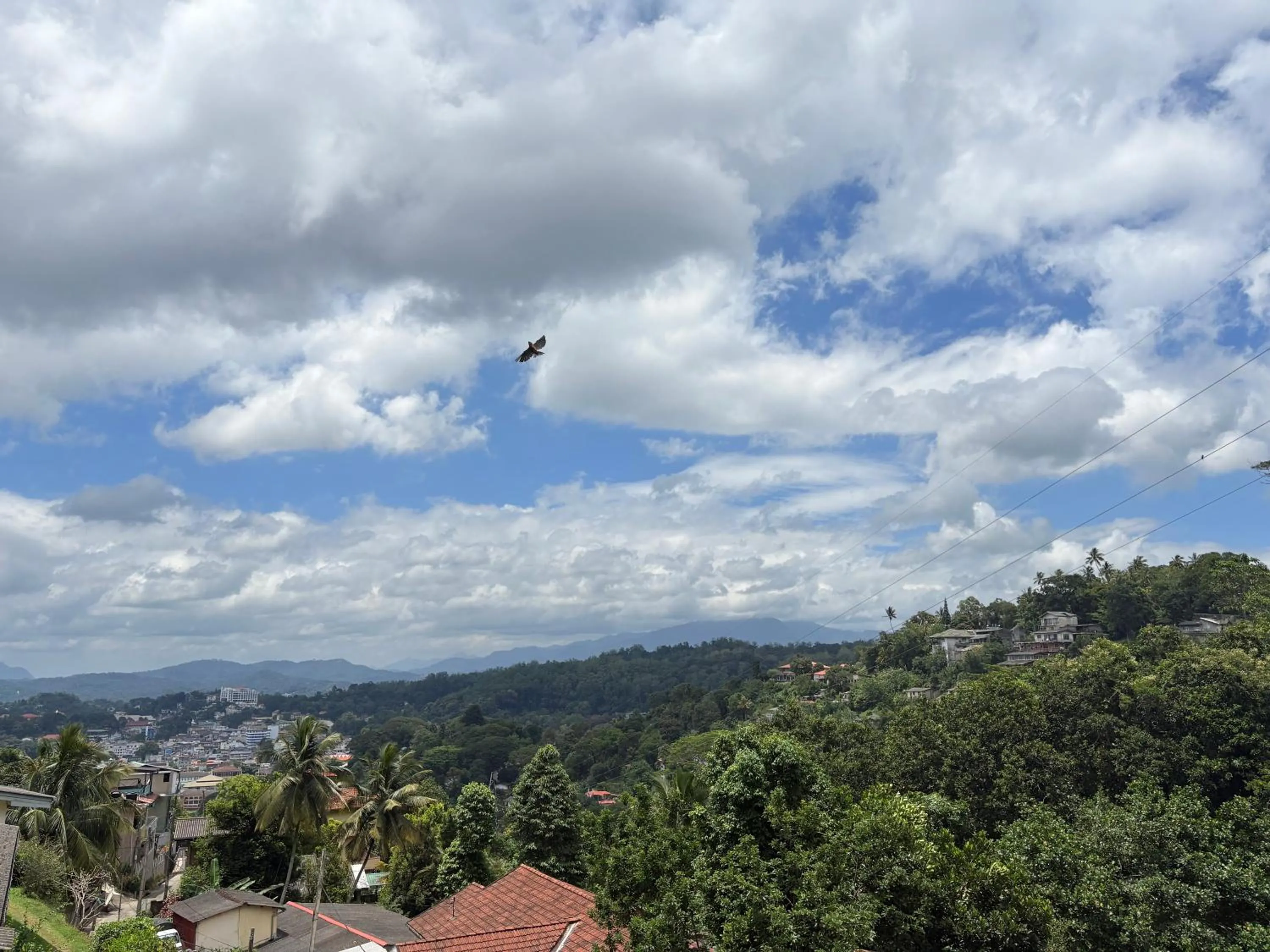 Day in Bethel Rest Homestay