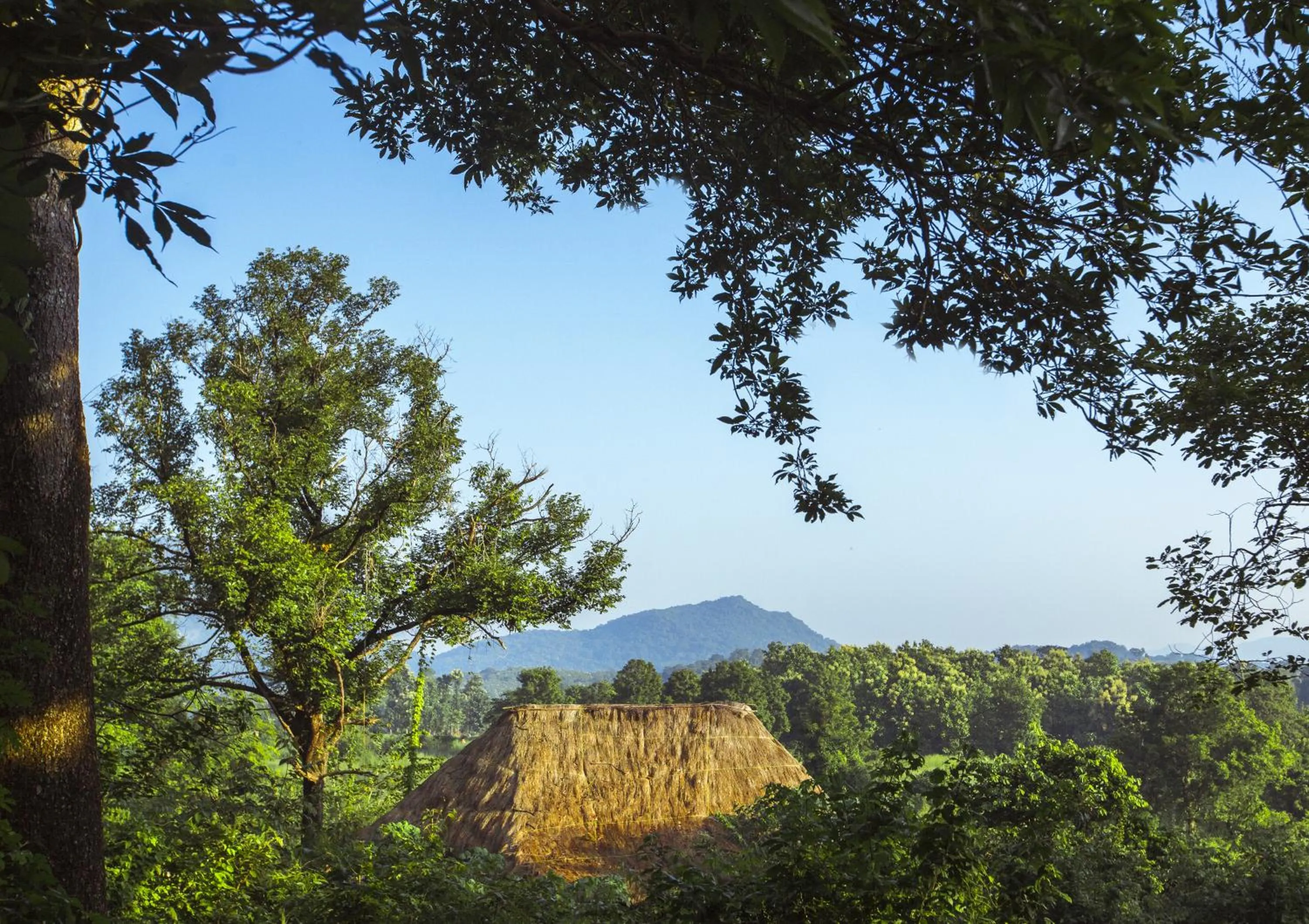 Area and facilities in Gal Oya Lodge