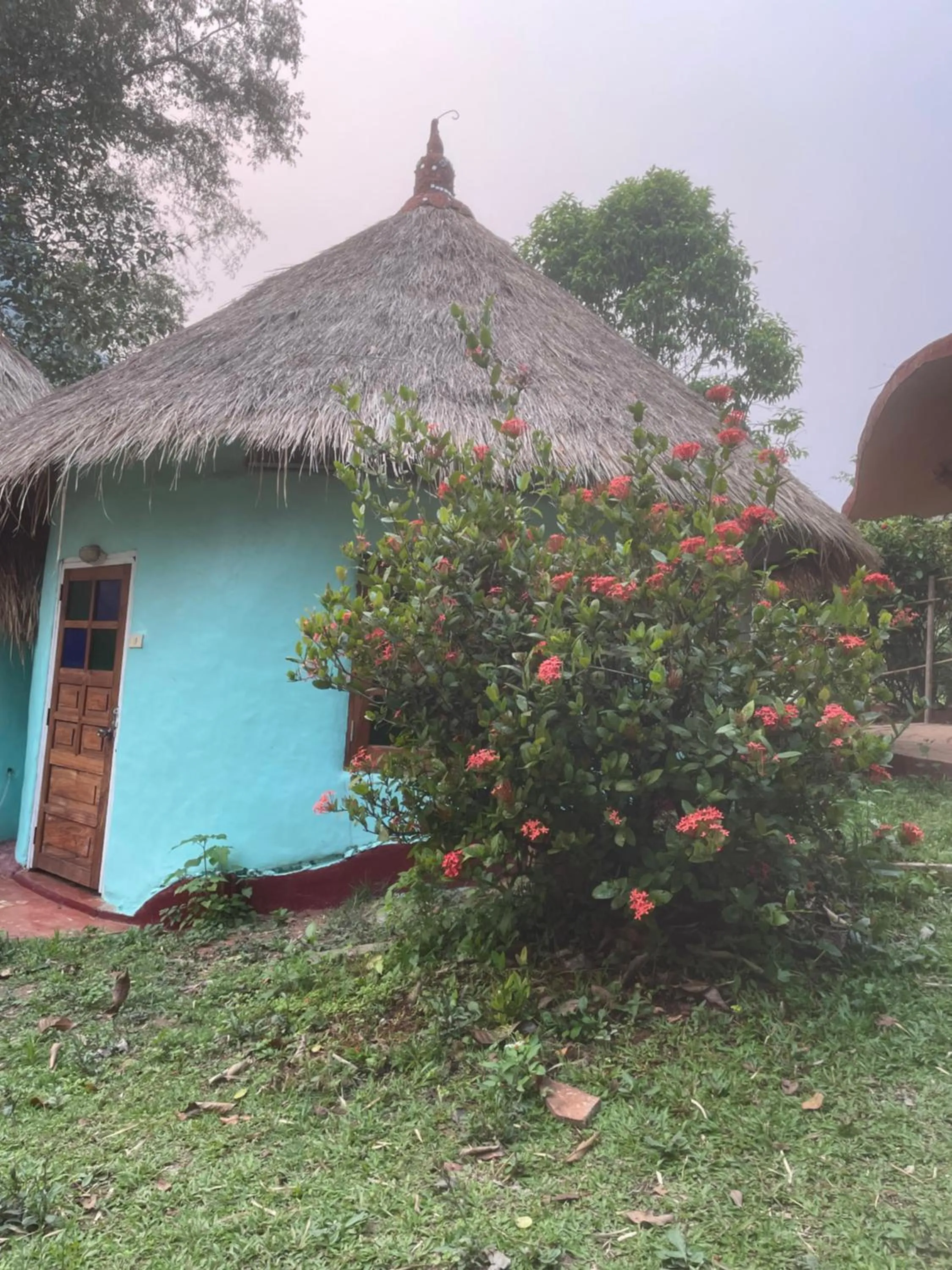Garden in Chiang Dao Roundhouses