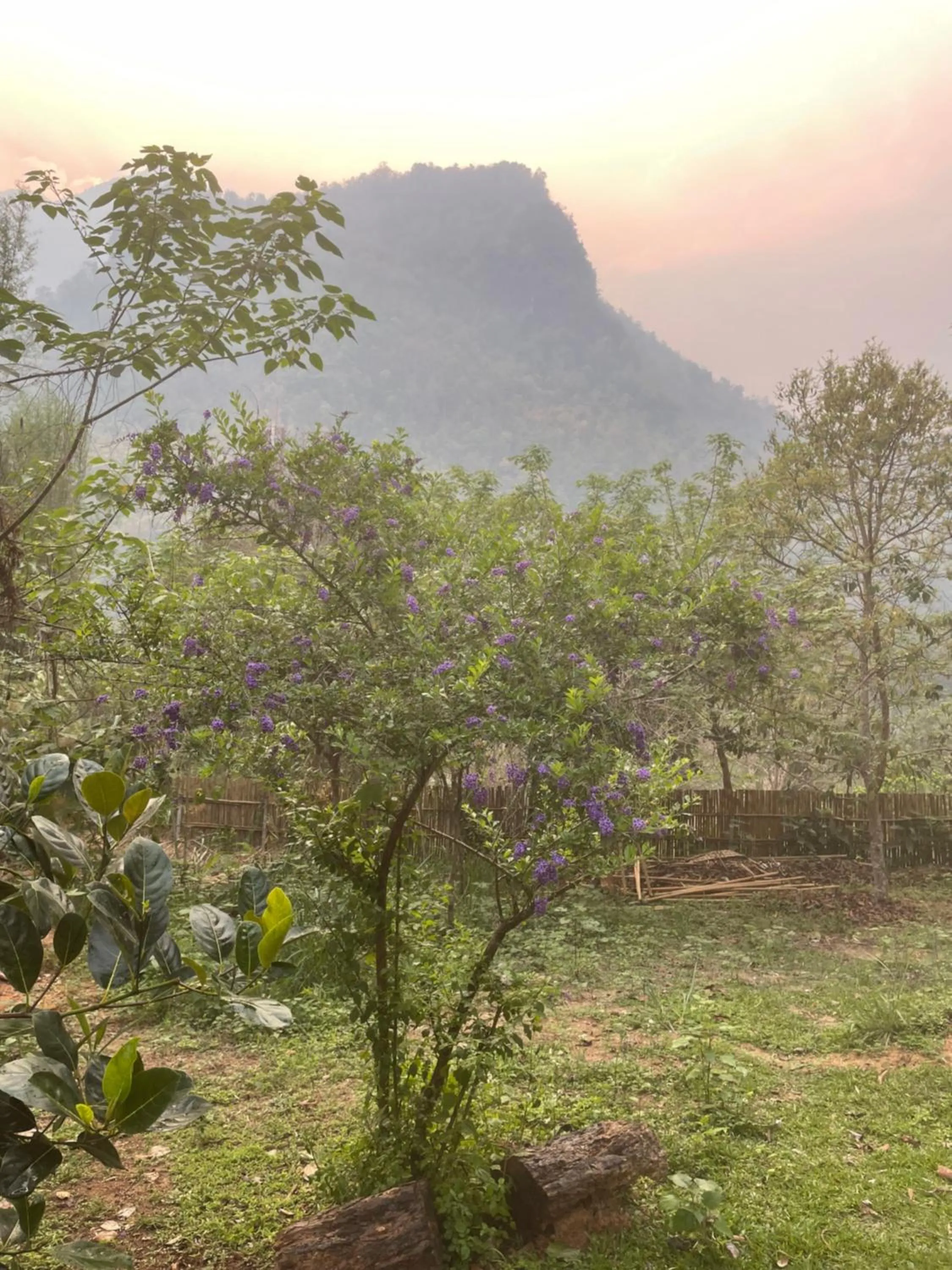 View (from property/room) in Chiang Dao Roundhouses