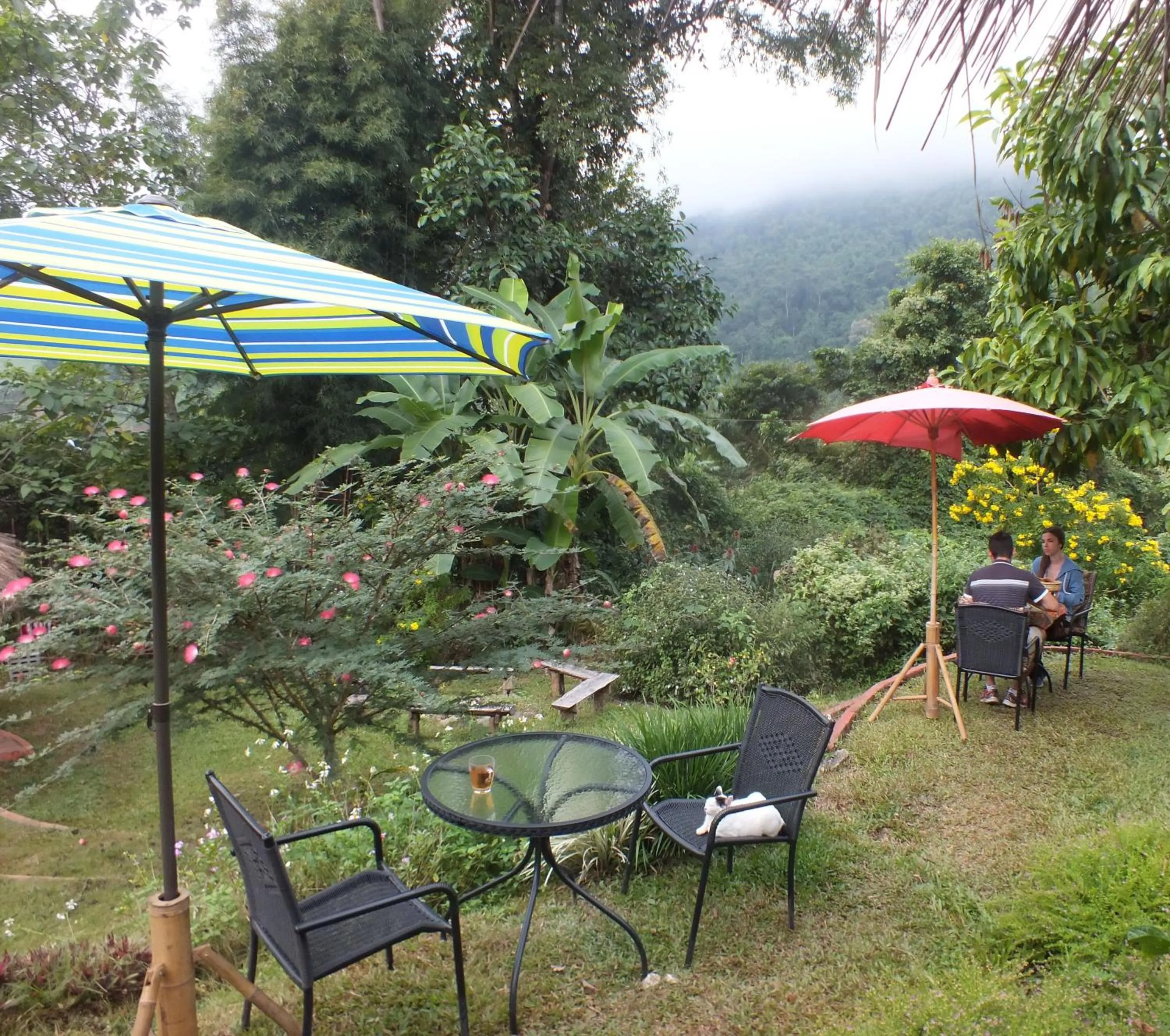 Garden in Chiang Dao Roundhouses